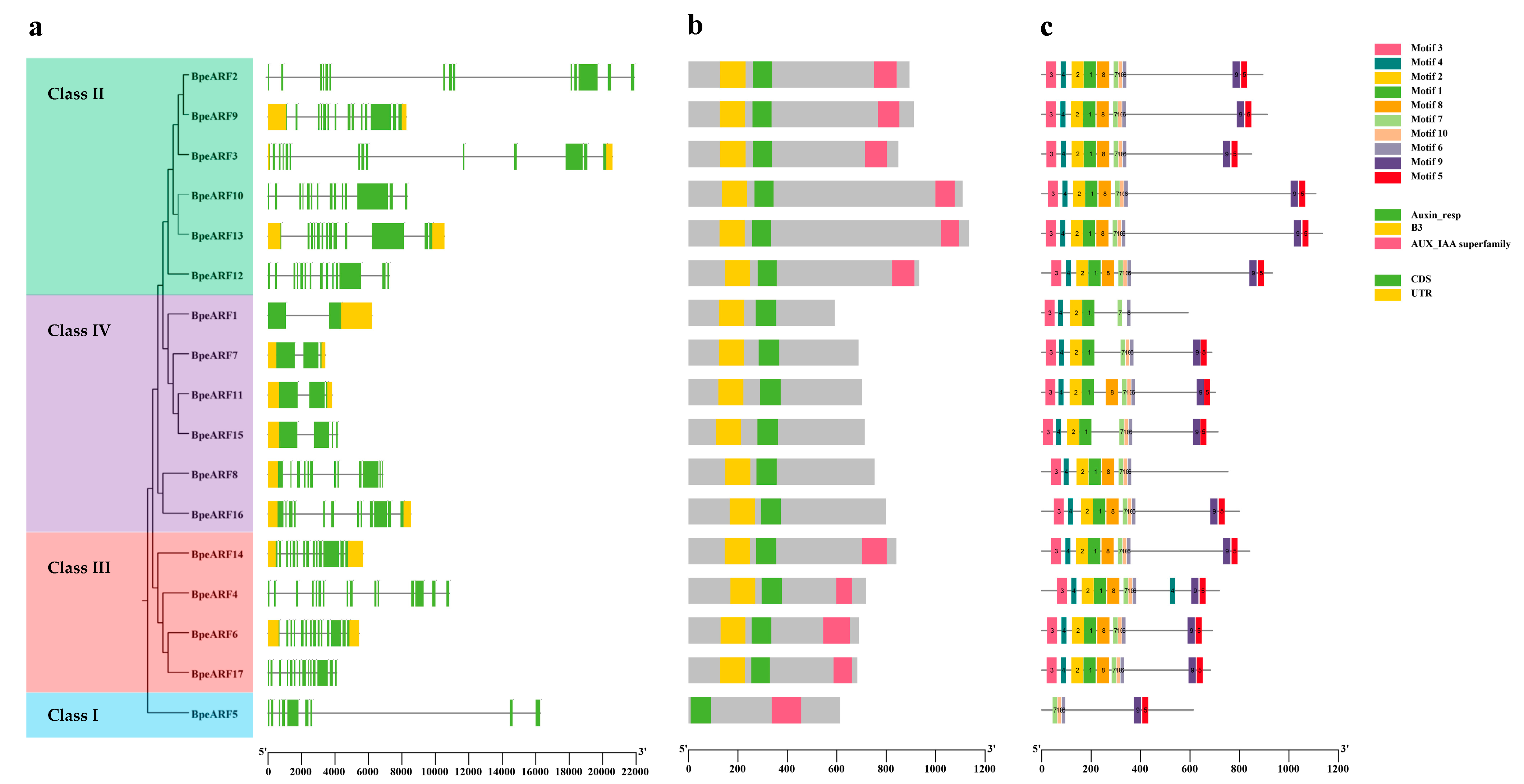 Horticulturae 10 00027 g004