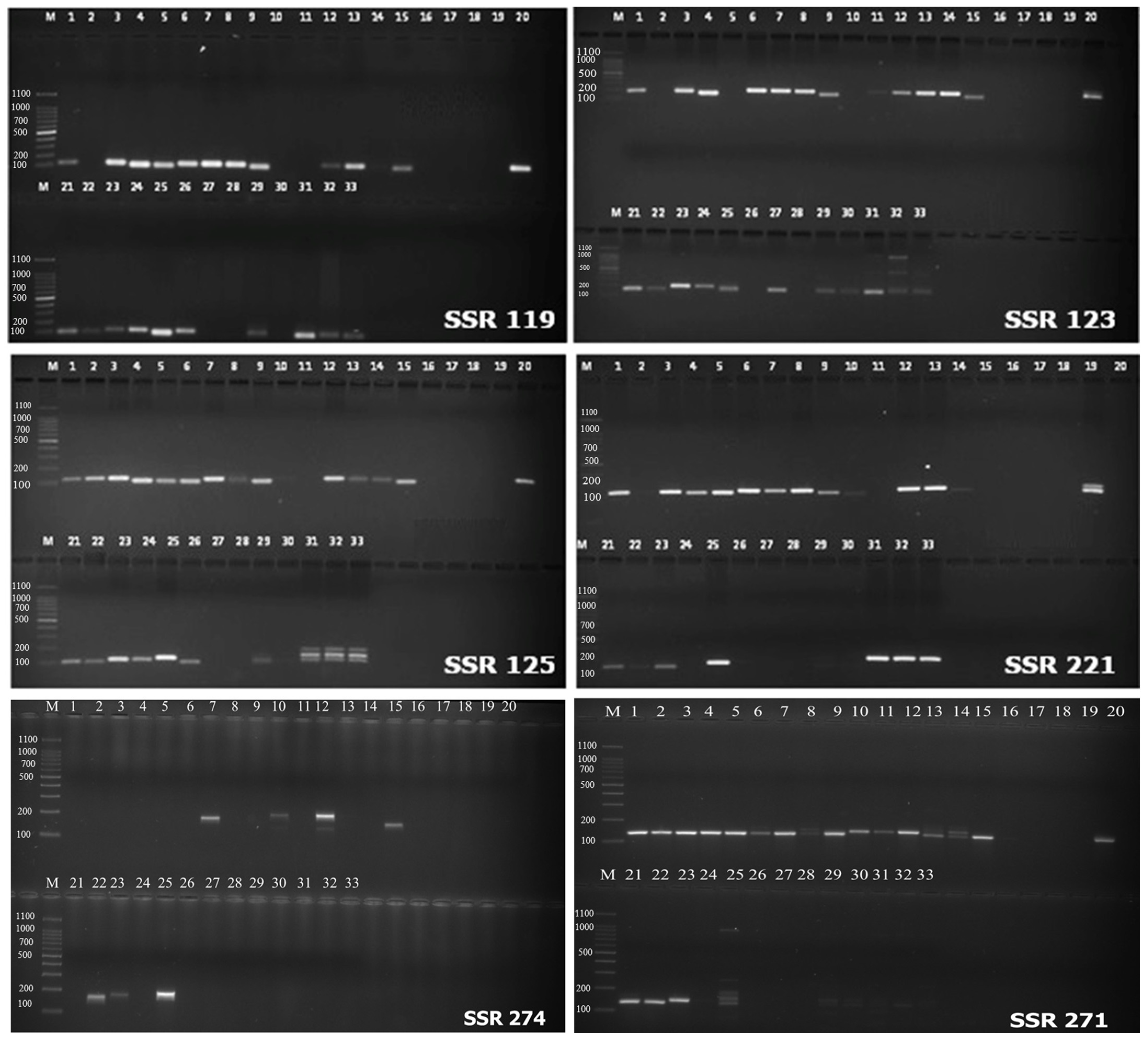 Horticulturae 10 00034 g002