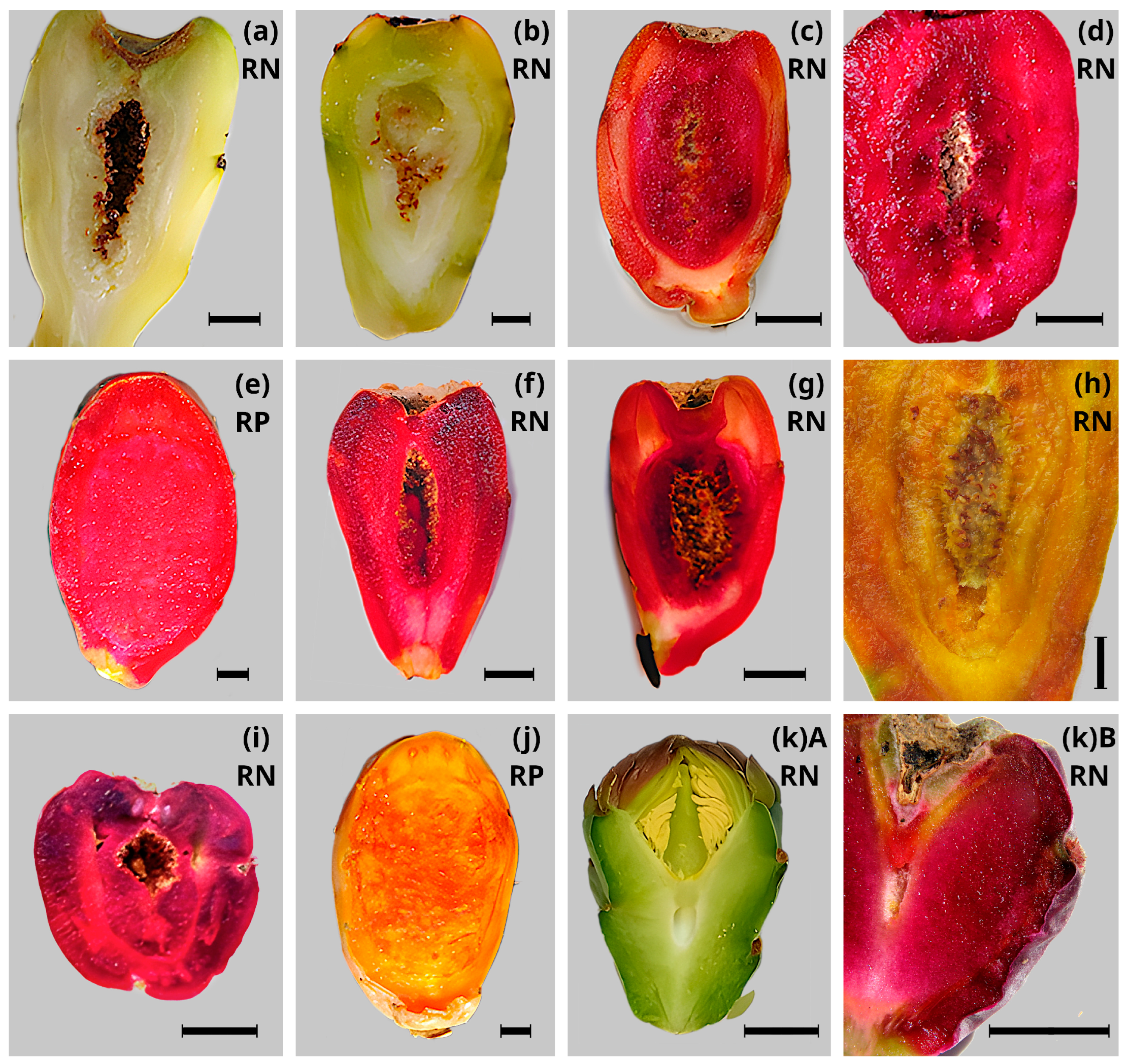Horticulturae 10 00039 g001