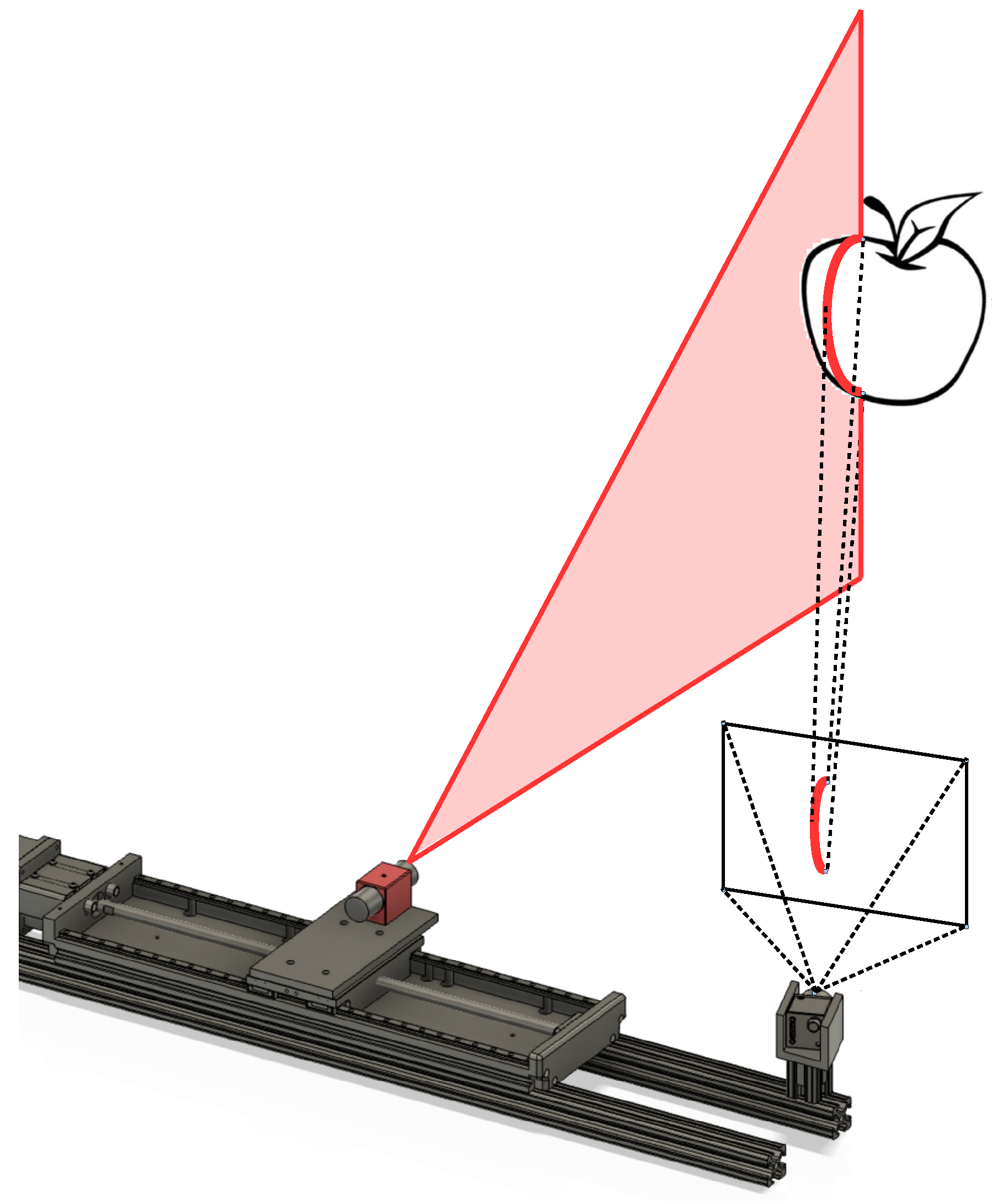 Horticulturae 10 00040 g003