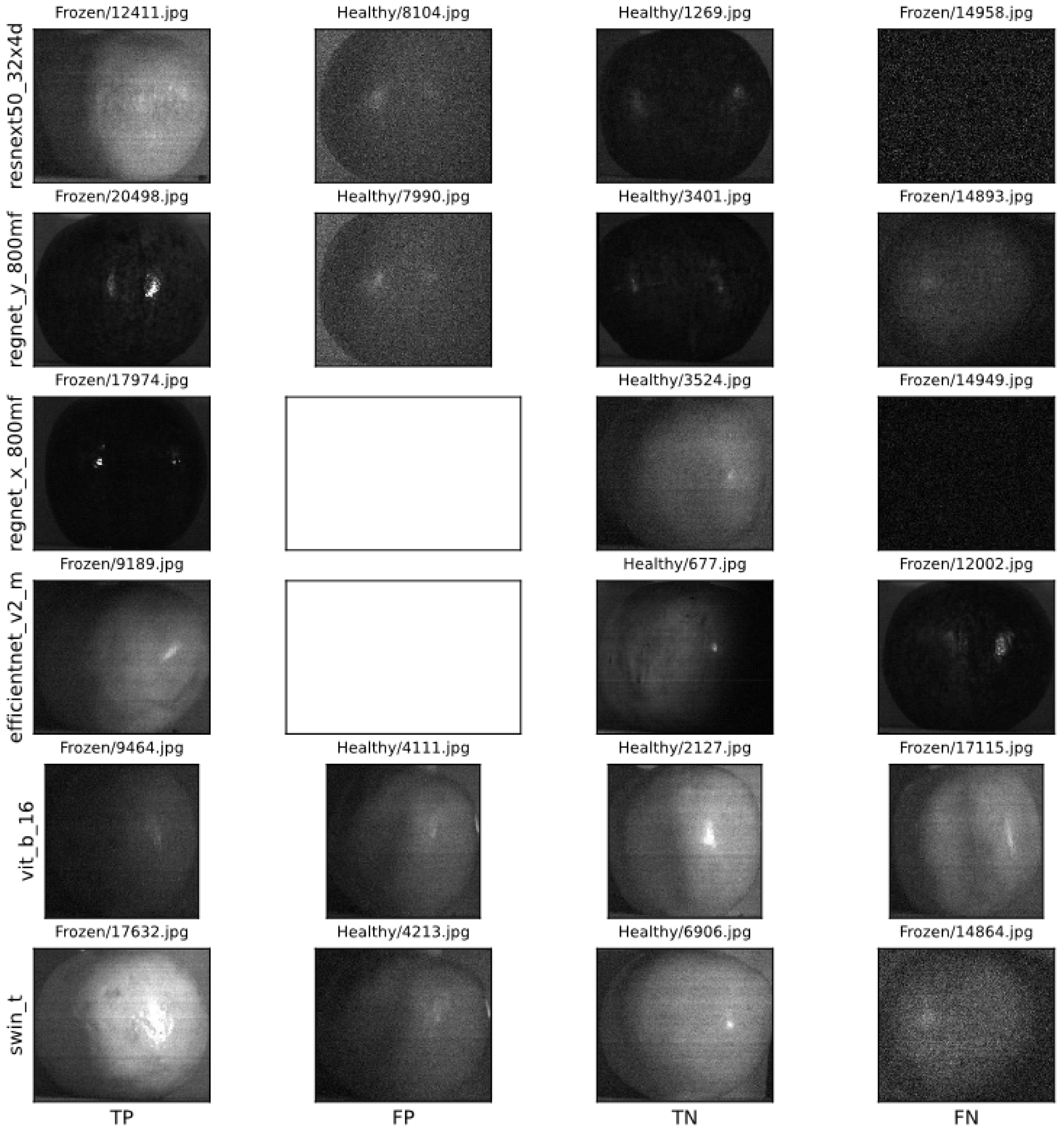 Horticulturae 10 00043 g020 Horticulturae 10 00043 g020