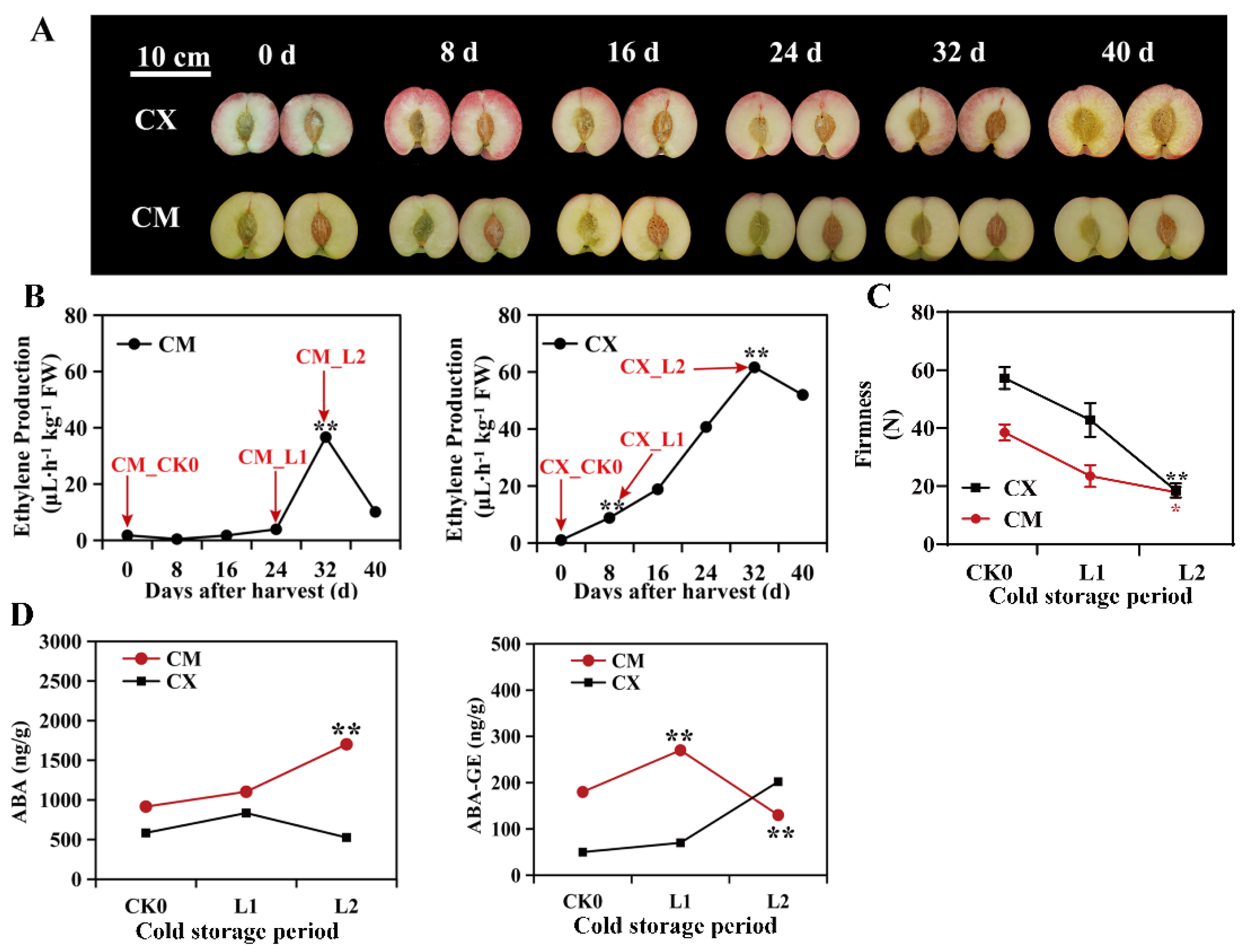 Horticulturae 10 00046 g001