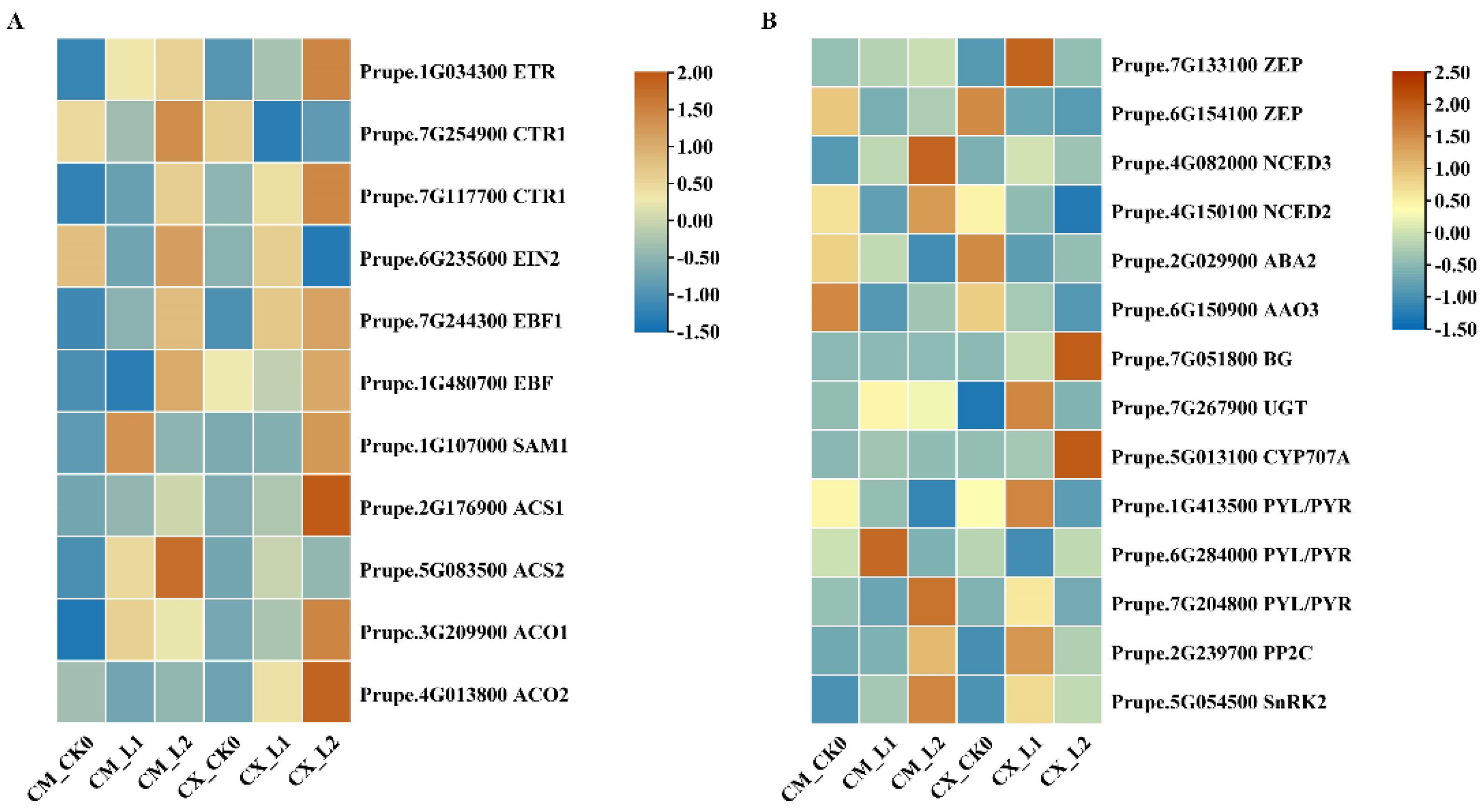 Horticulturae 10 00046 g004