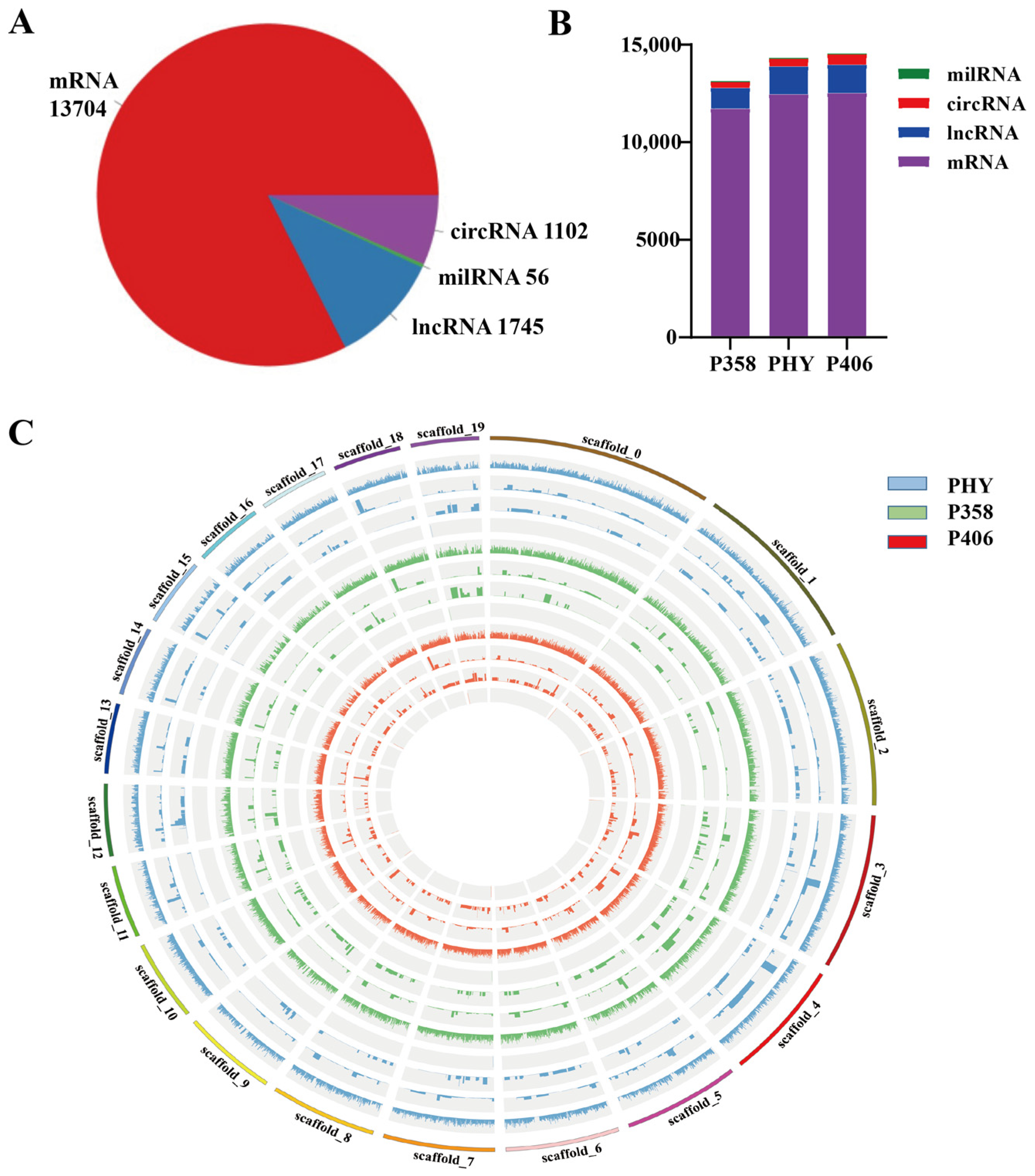 Horticulturae 10 00060 g002