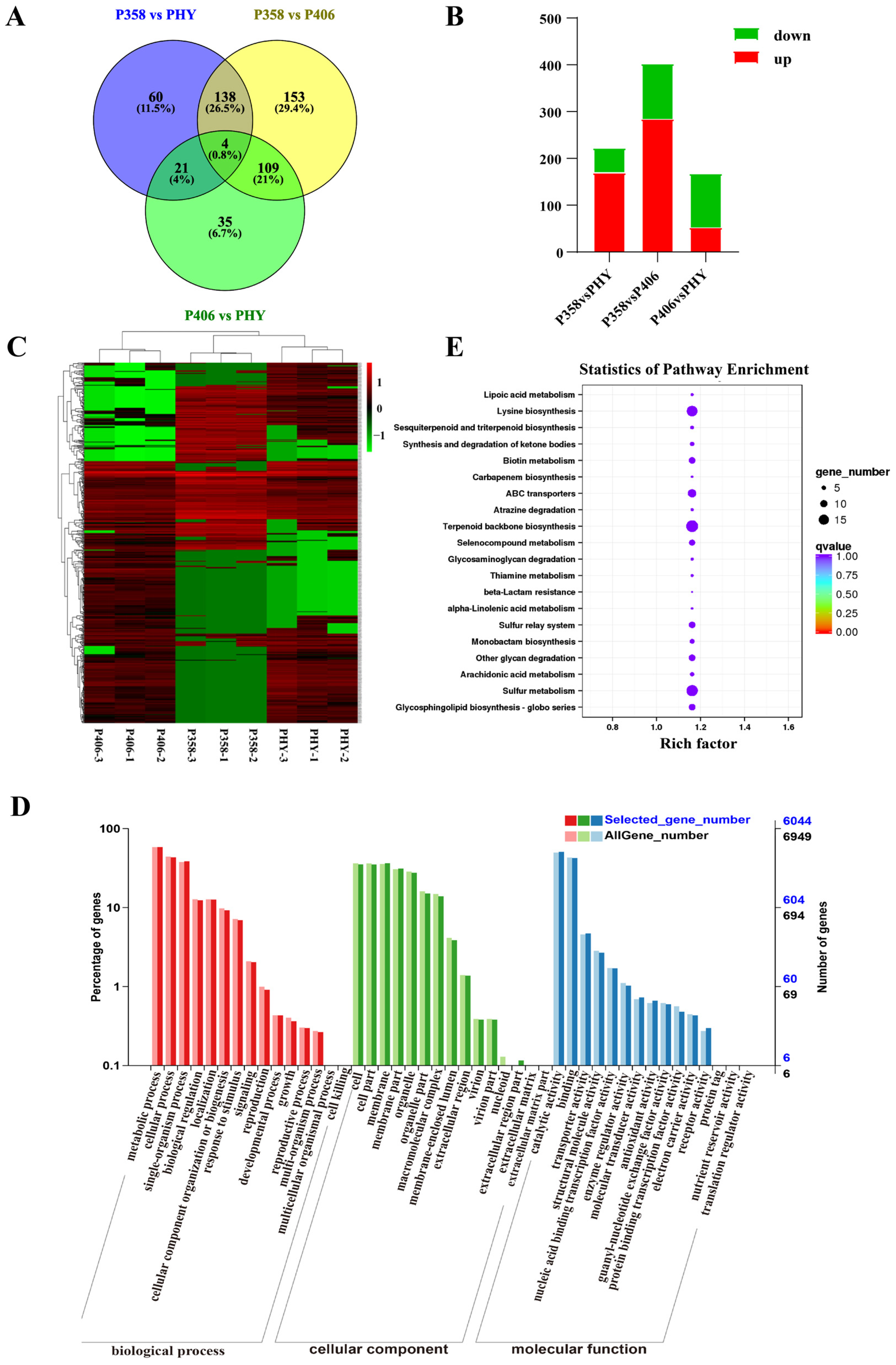 Horticulturae 10 00060 g004