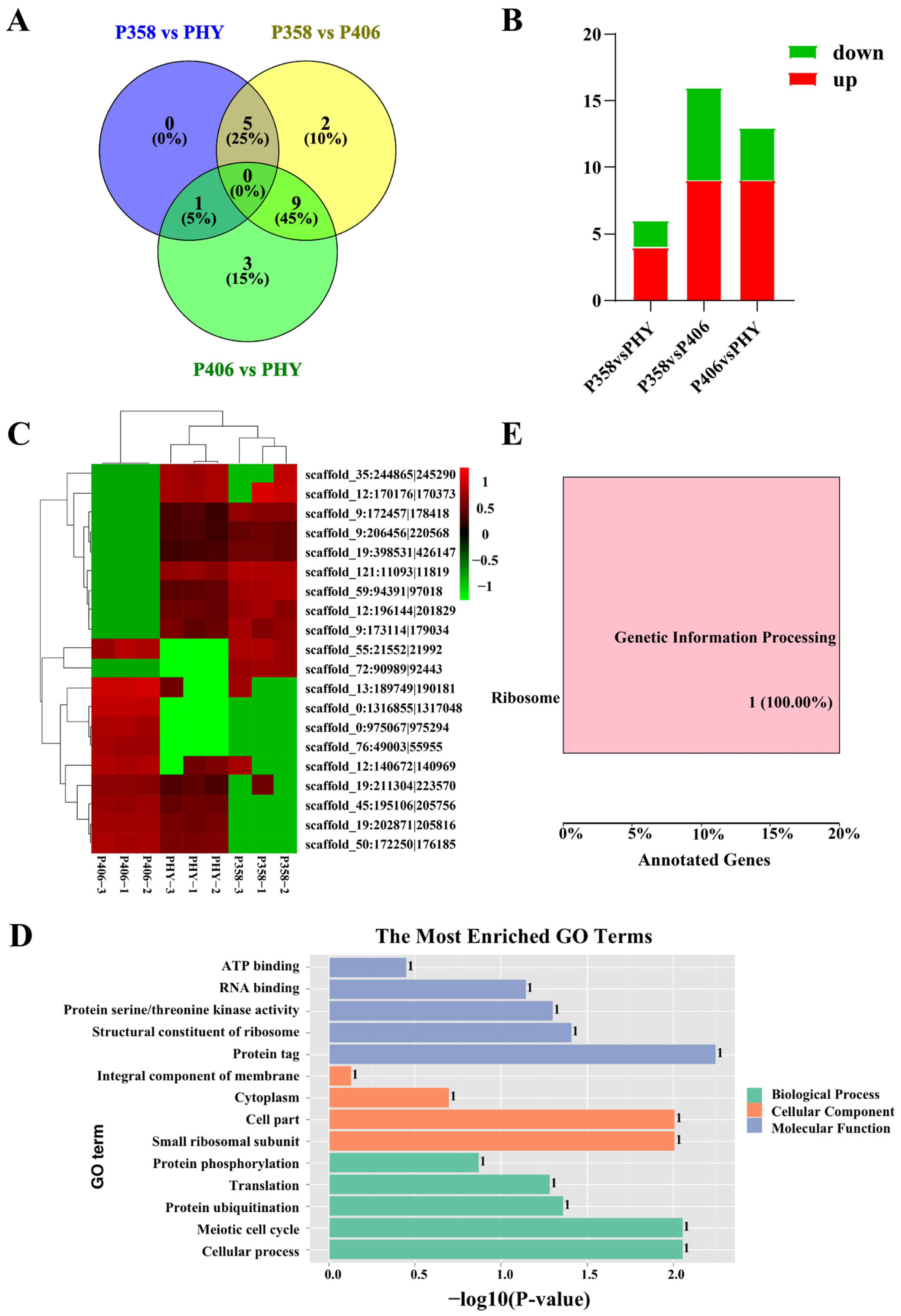 Horticulturae 10 00060 g006
