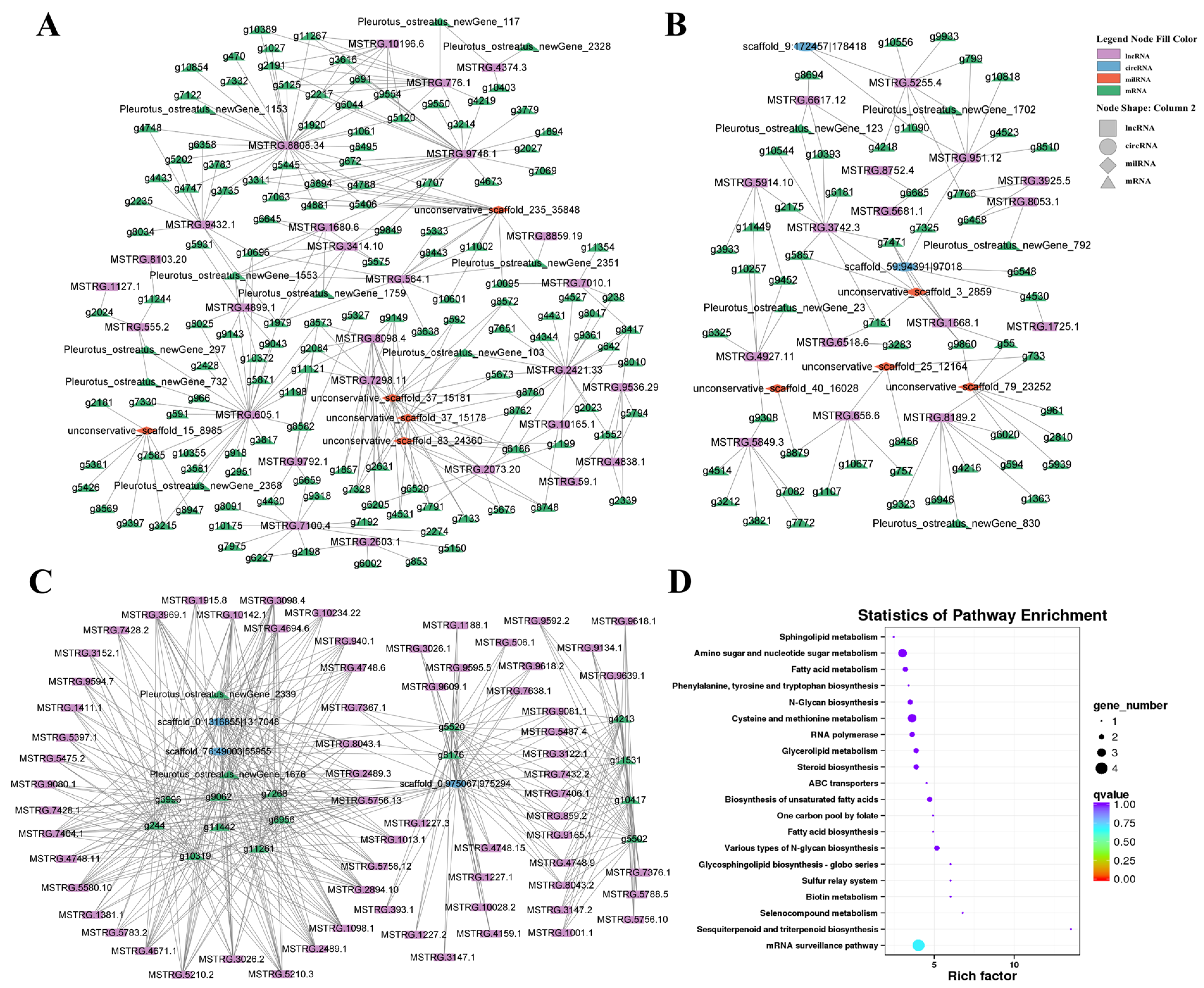 Horticulturae 10 00060 g008