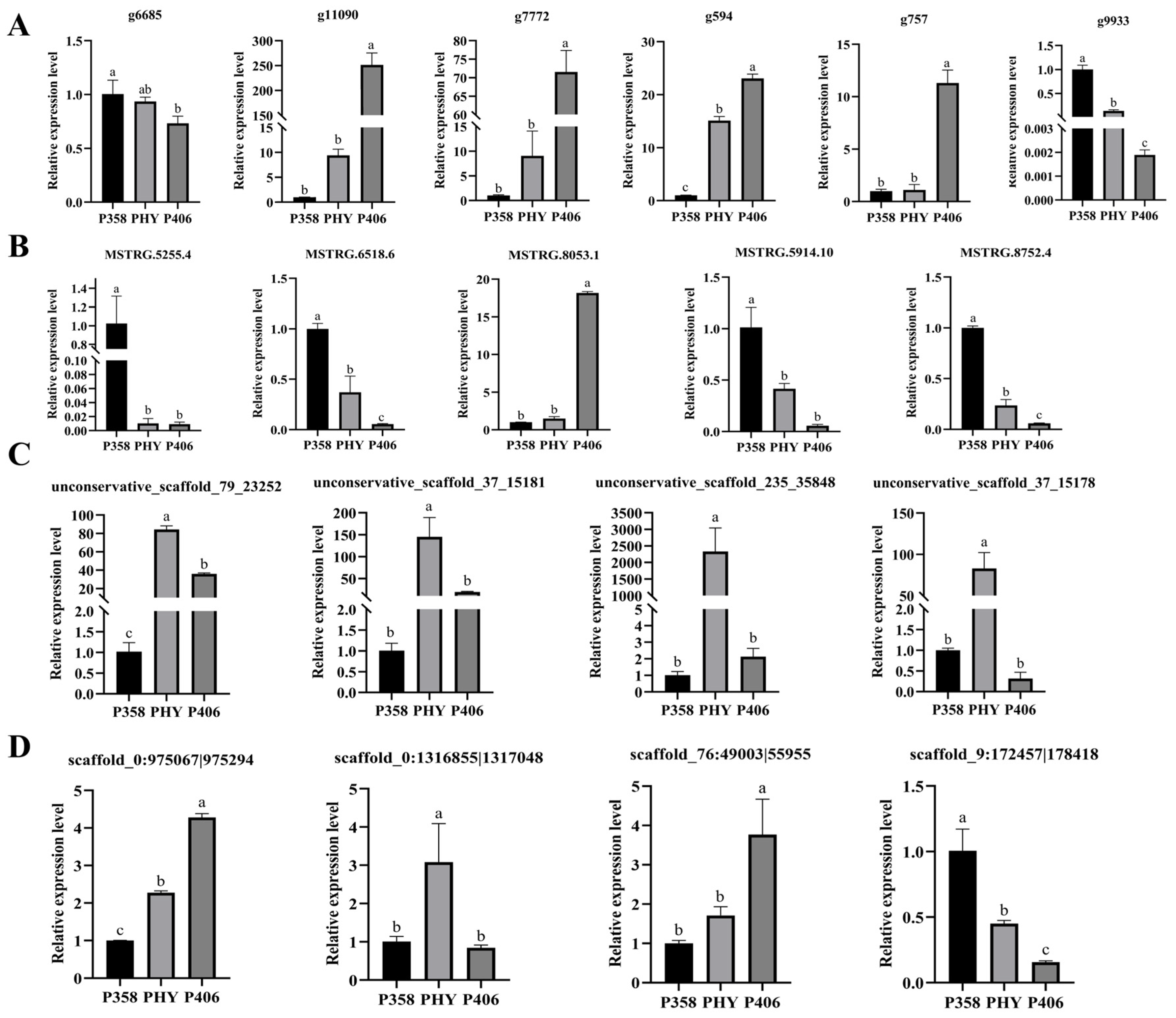Horticulturae 10 00060 g009