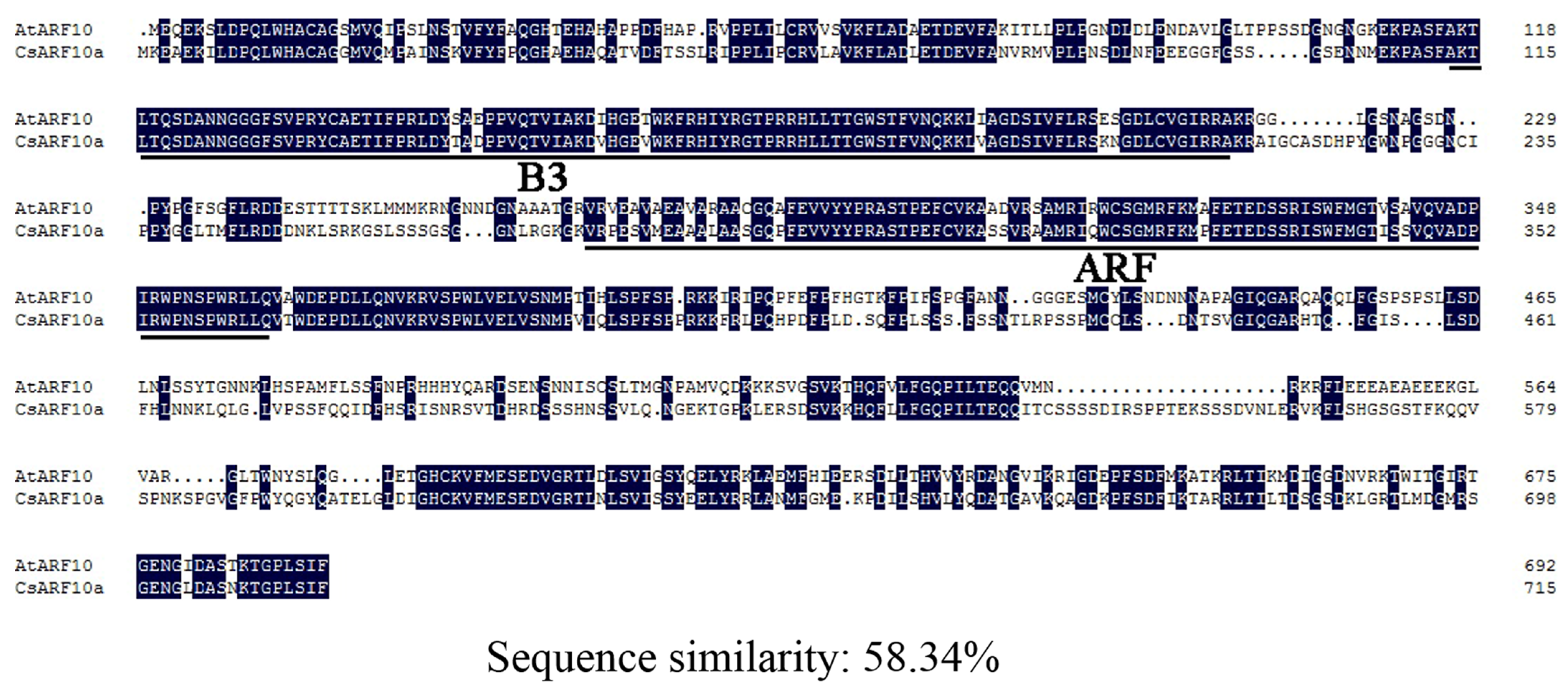 Horticulturae 10 00079 g001