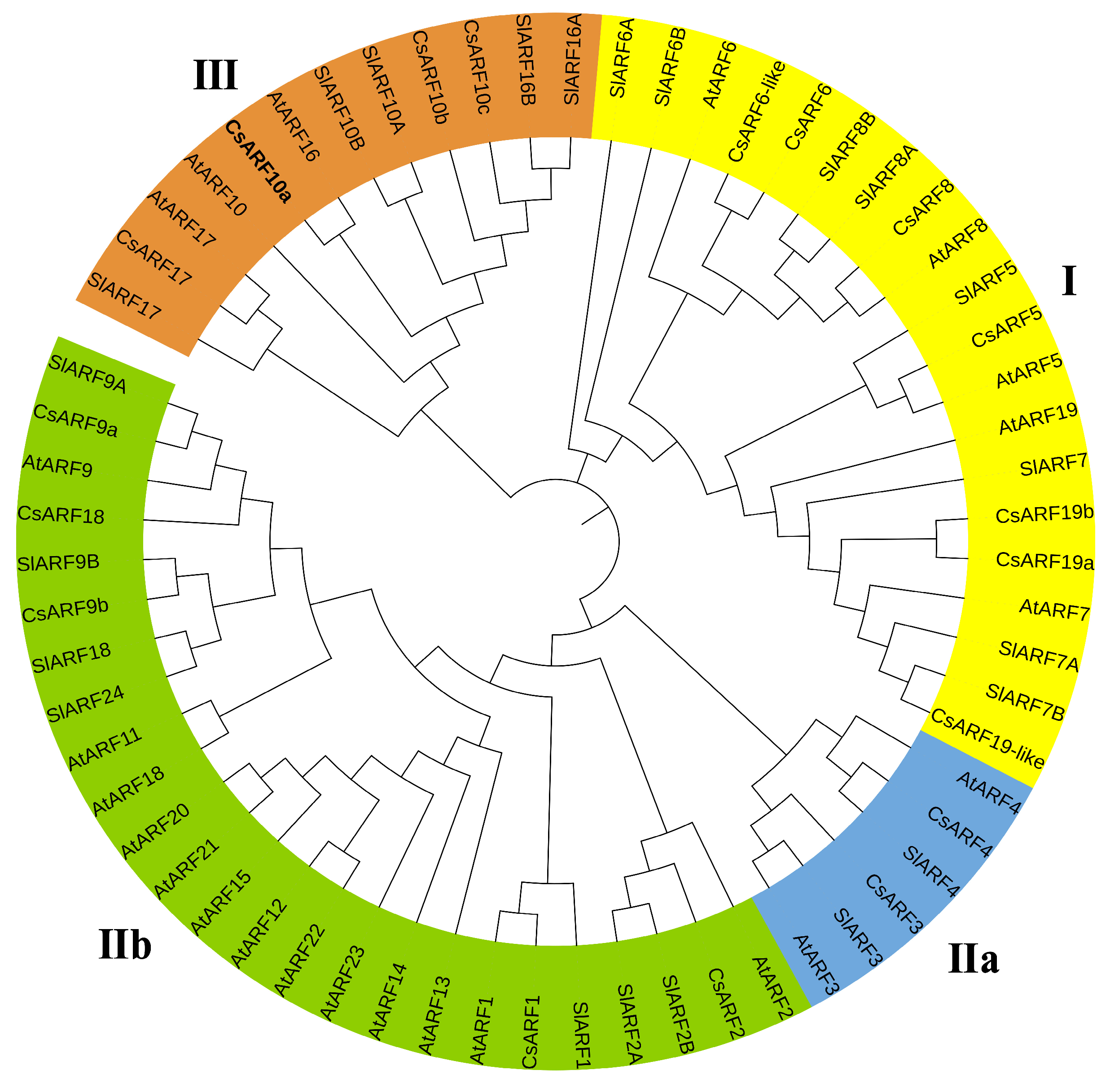 Horticulturae 10 00079 g002