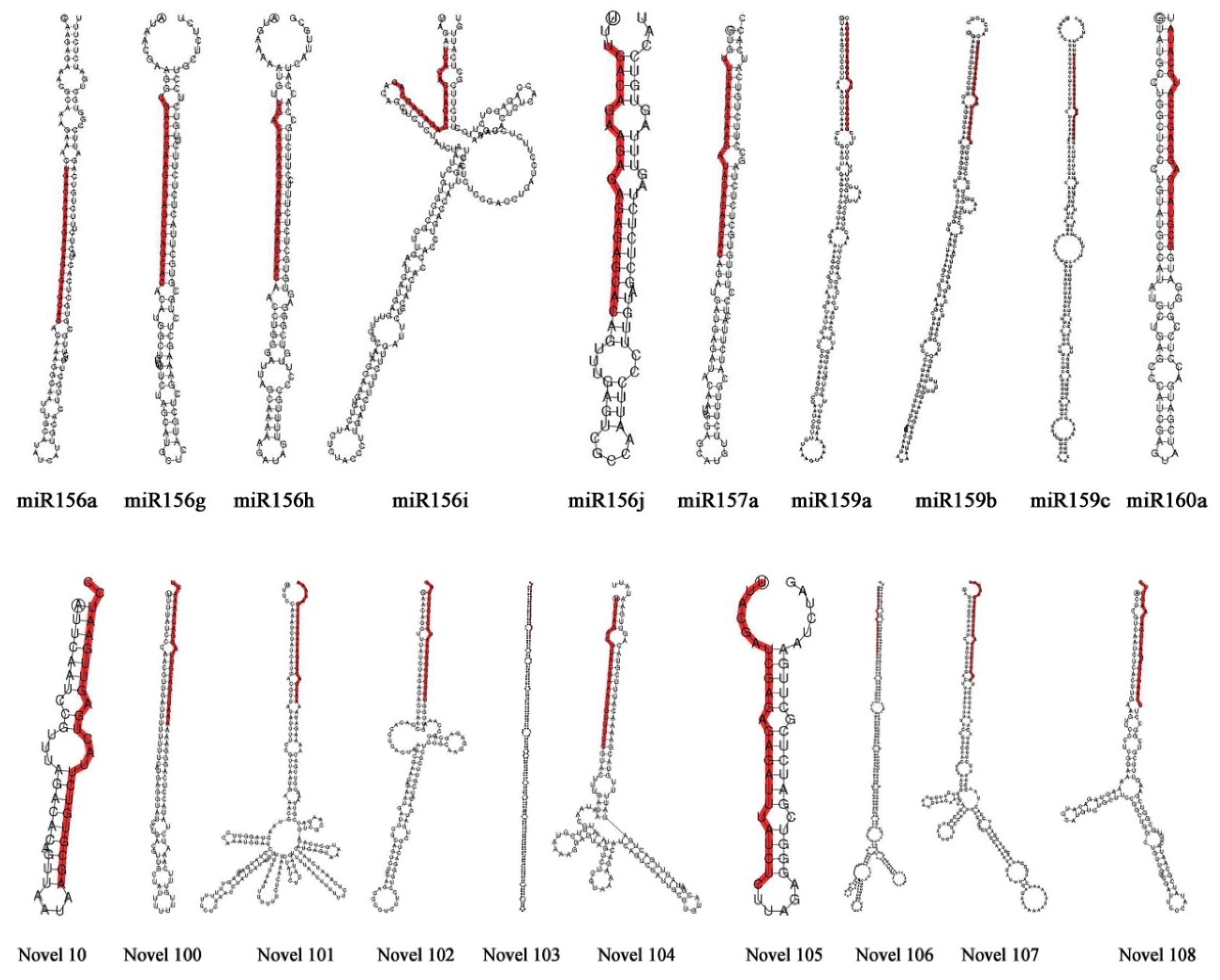 Horticulturae 10 00085 g001
