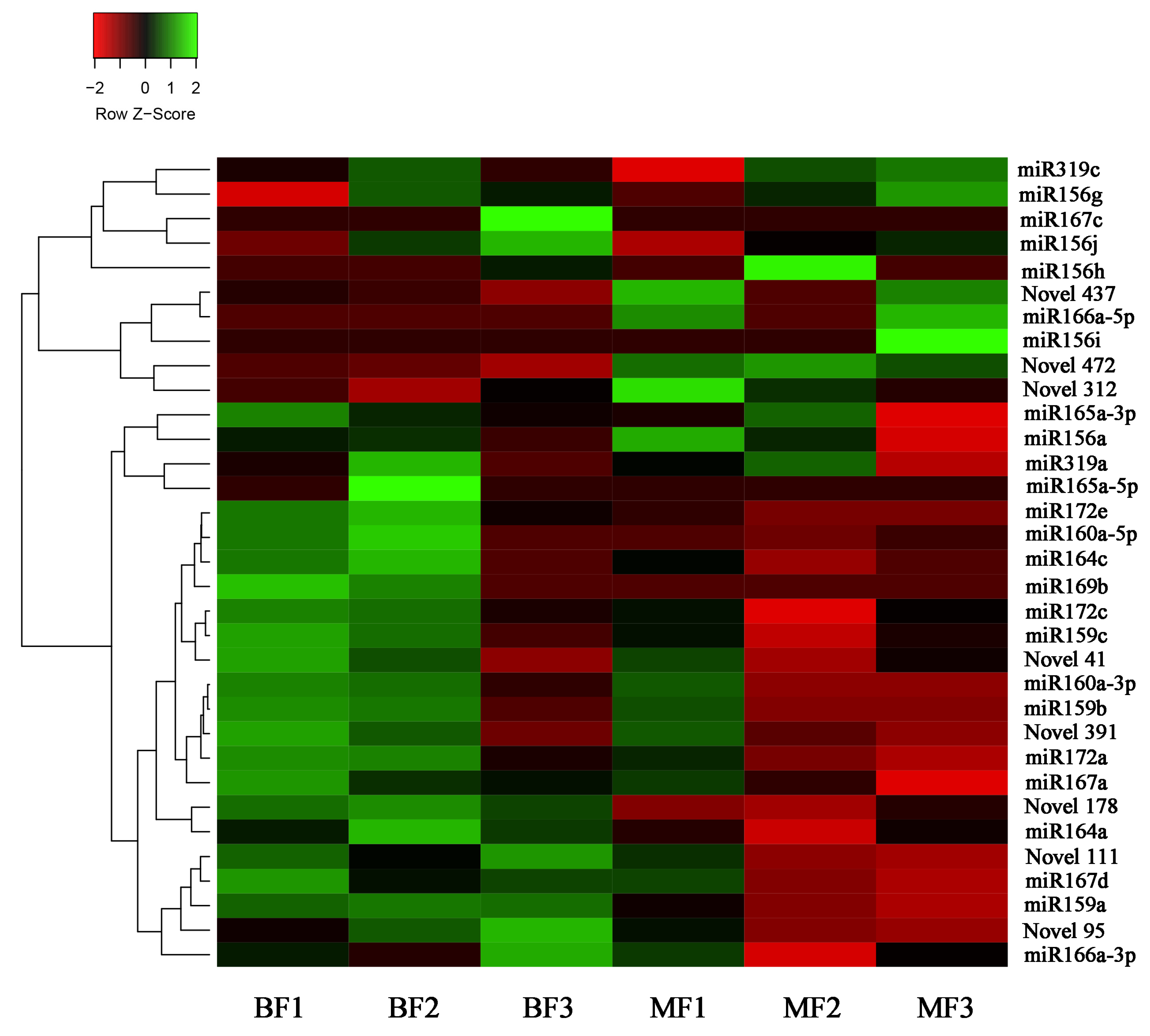 Horticulturae 10 00085 g004