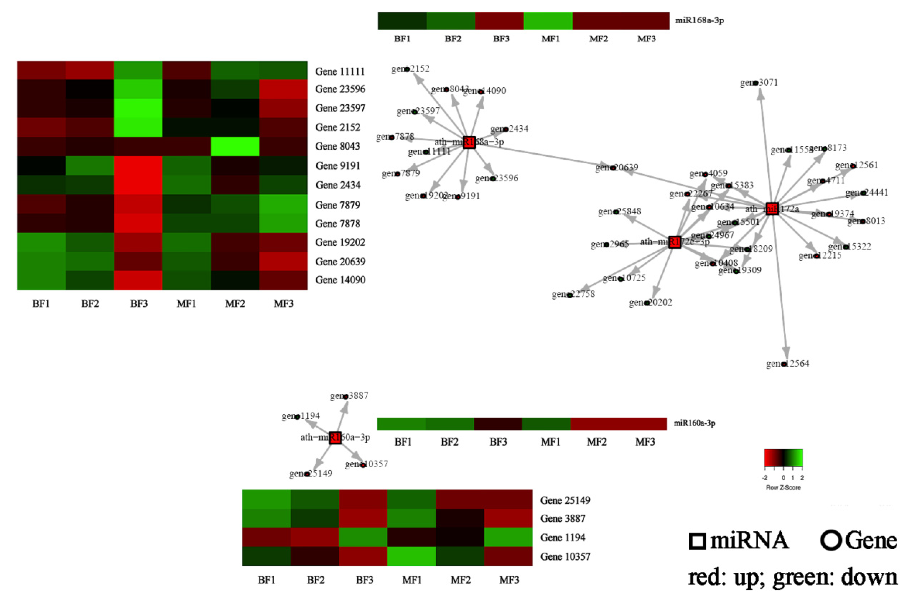 Horticulturae 10 00085 g006