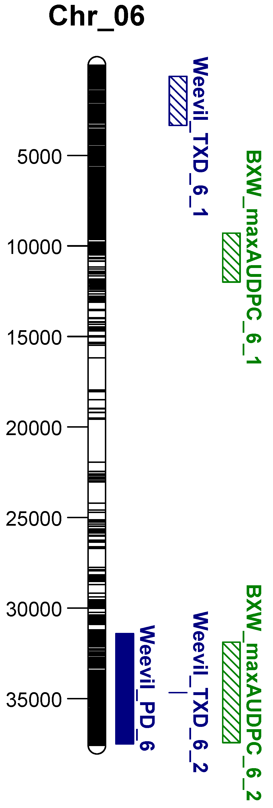 Horticulturae 10 00087 g004