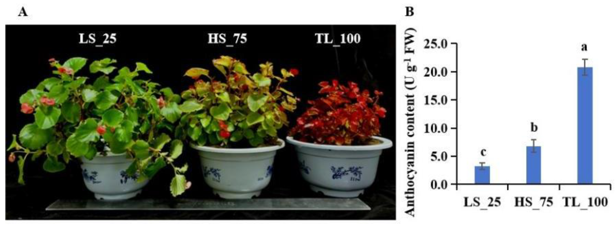Horticulturae 10 00096 g001 Horticulturae 10 00096 g001