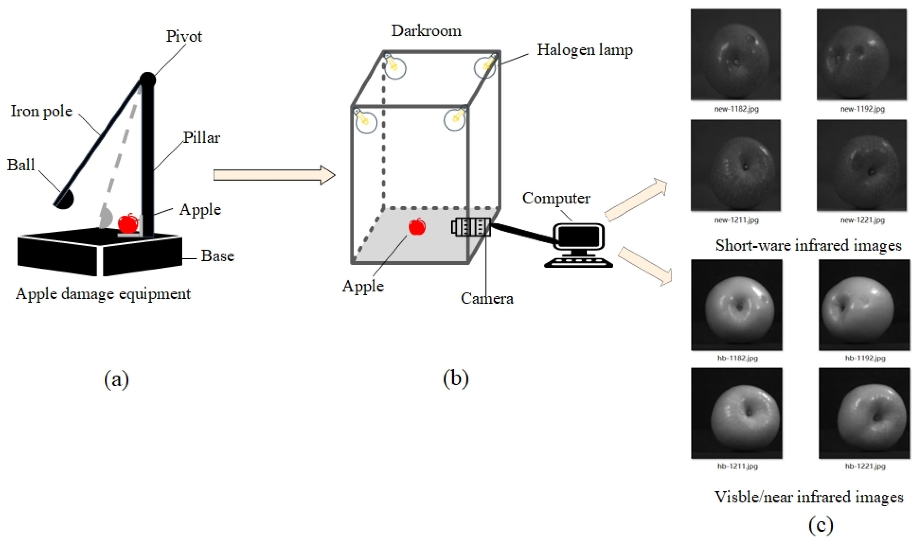 Horticulturae 10 00100 g001