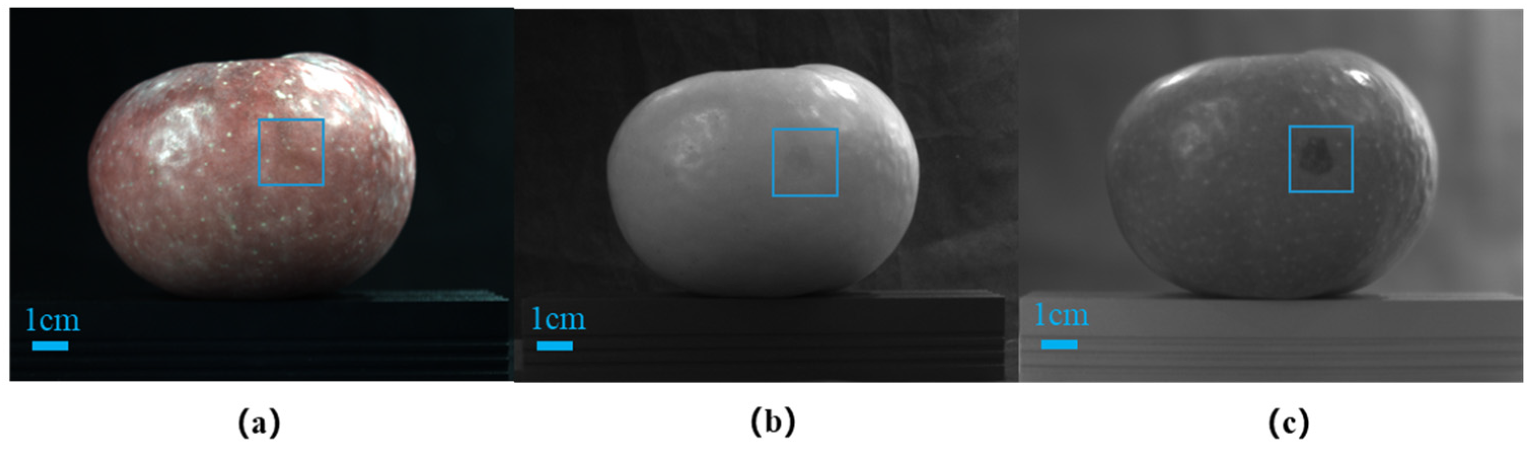 Horticulturae 10 00100 g003