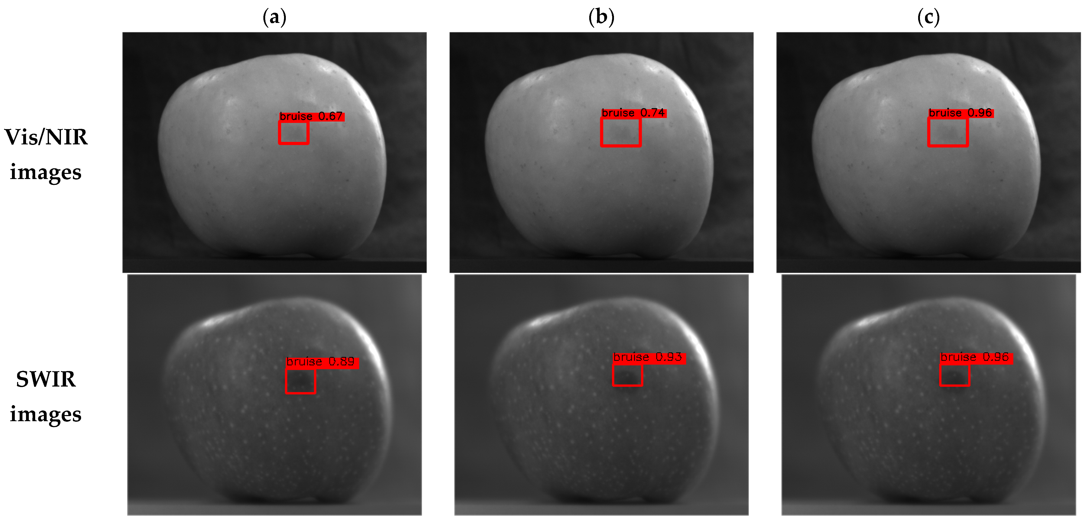 Horticulturae 10 00100 g009