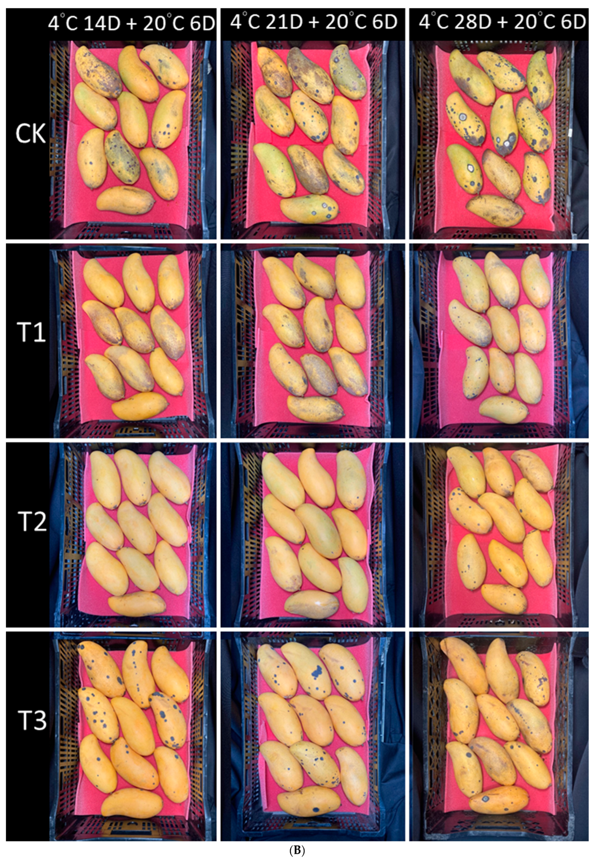 Horticulturae 10 00103 g001b