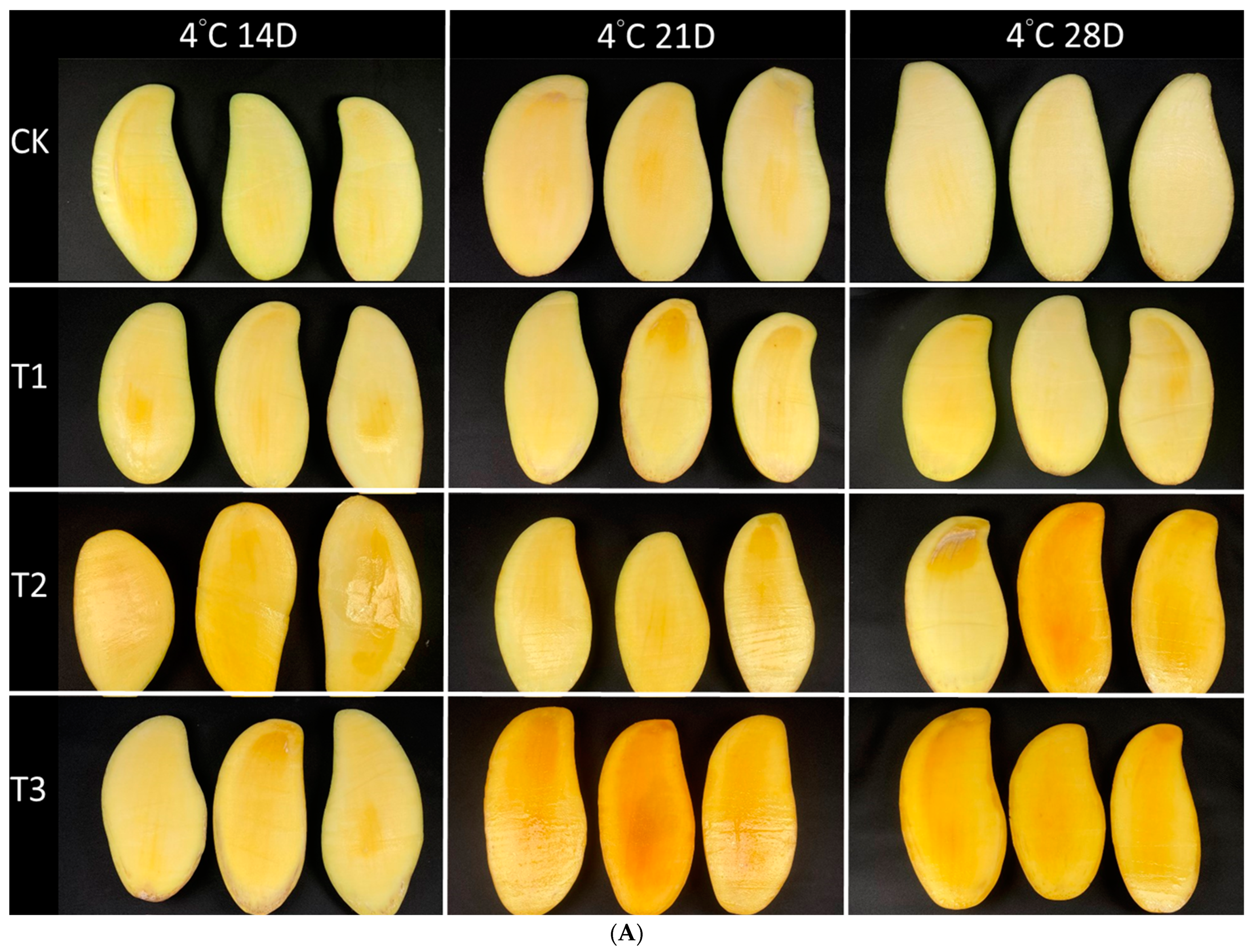 Horticulturae 10 00103 g006a
