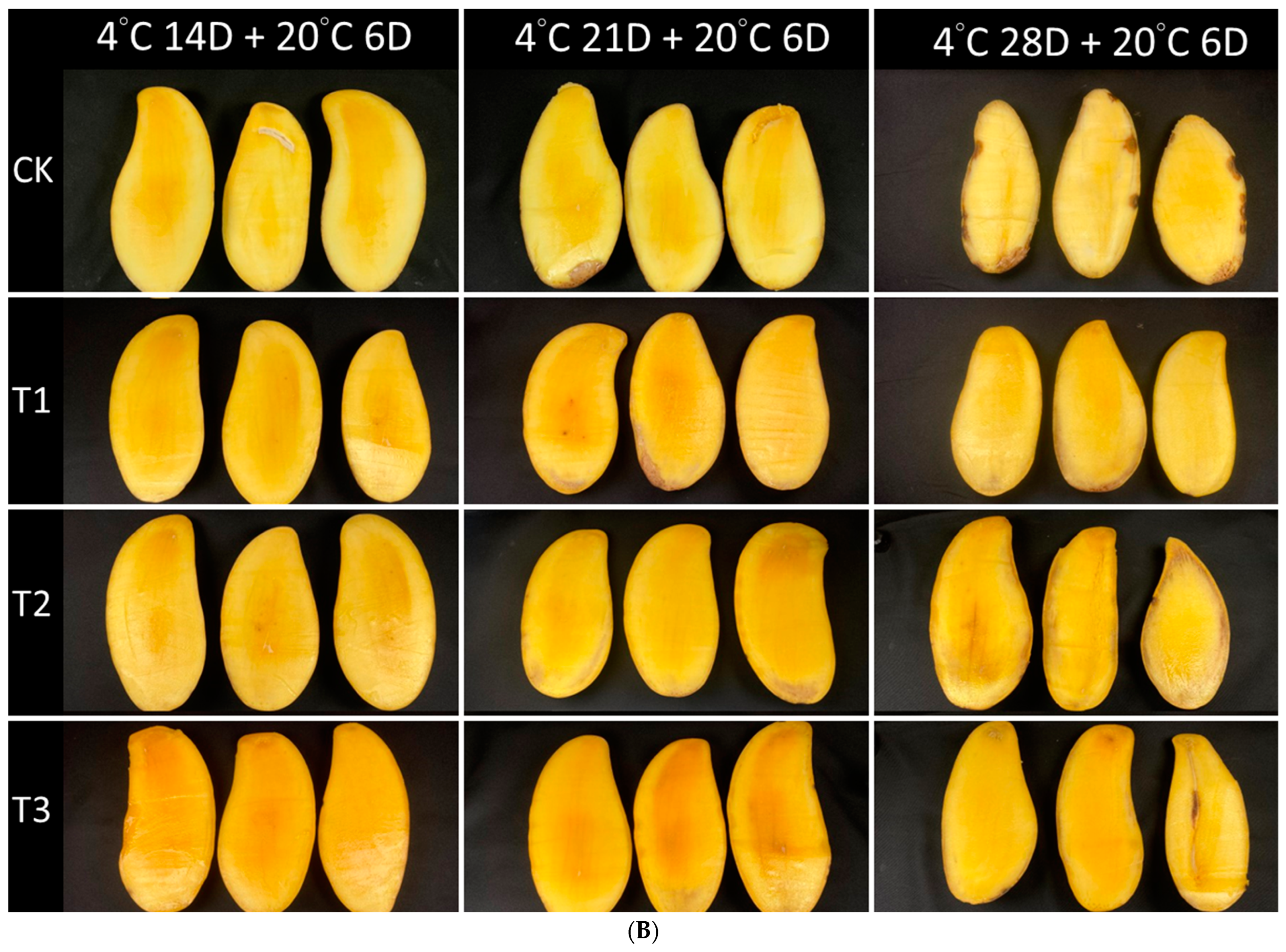Horticulturae 10 00103 g006b