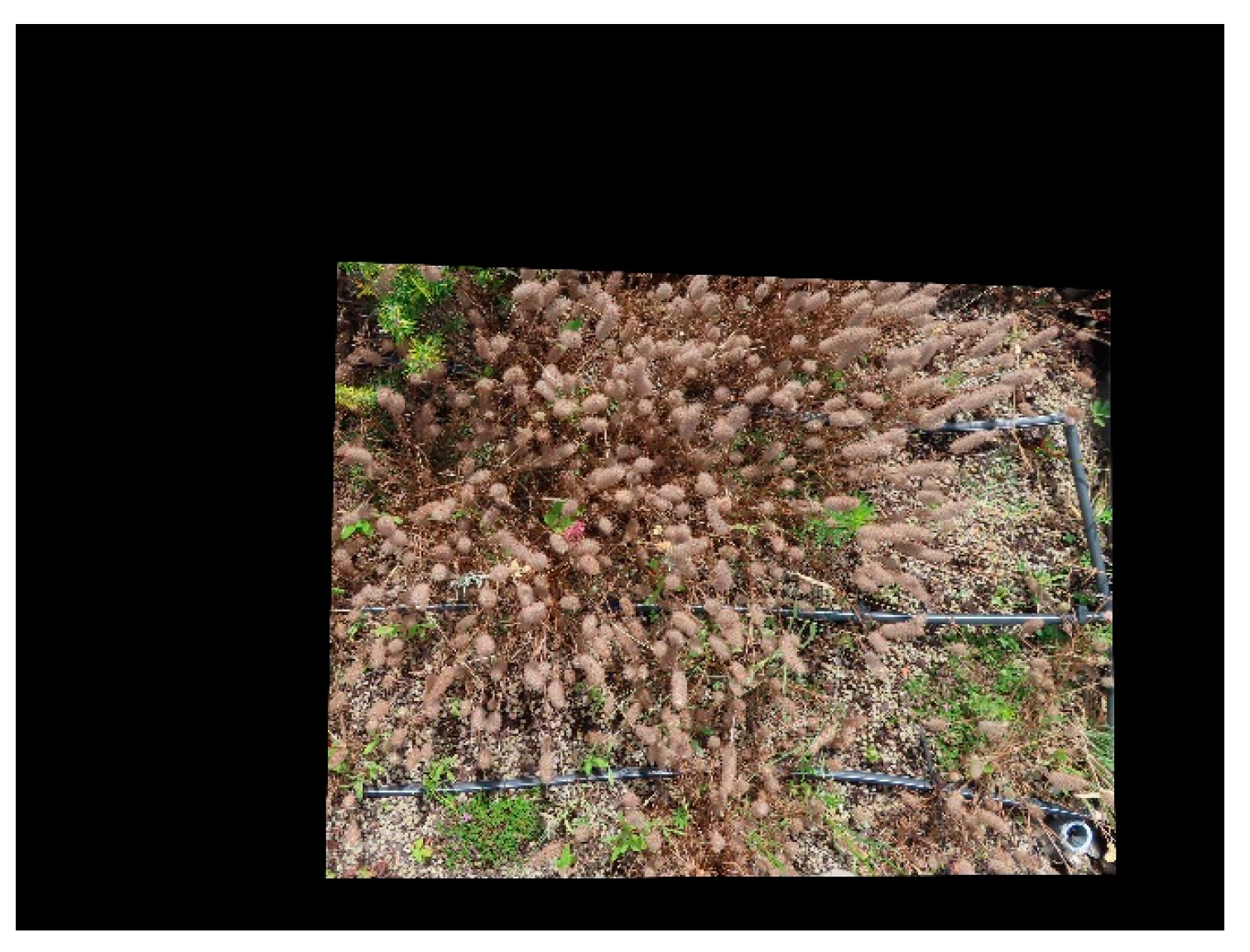 Horticulturae 10 00106 g006