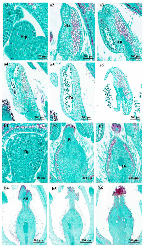 Horticulturae 10 00109 g004