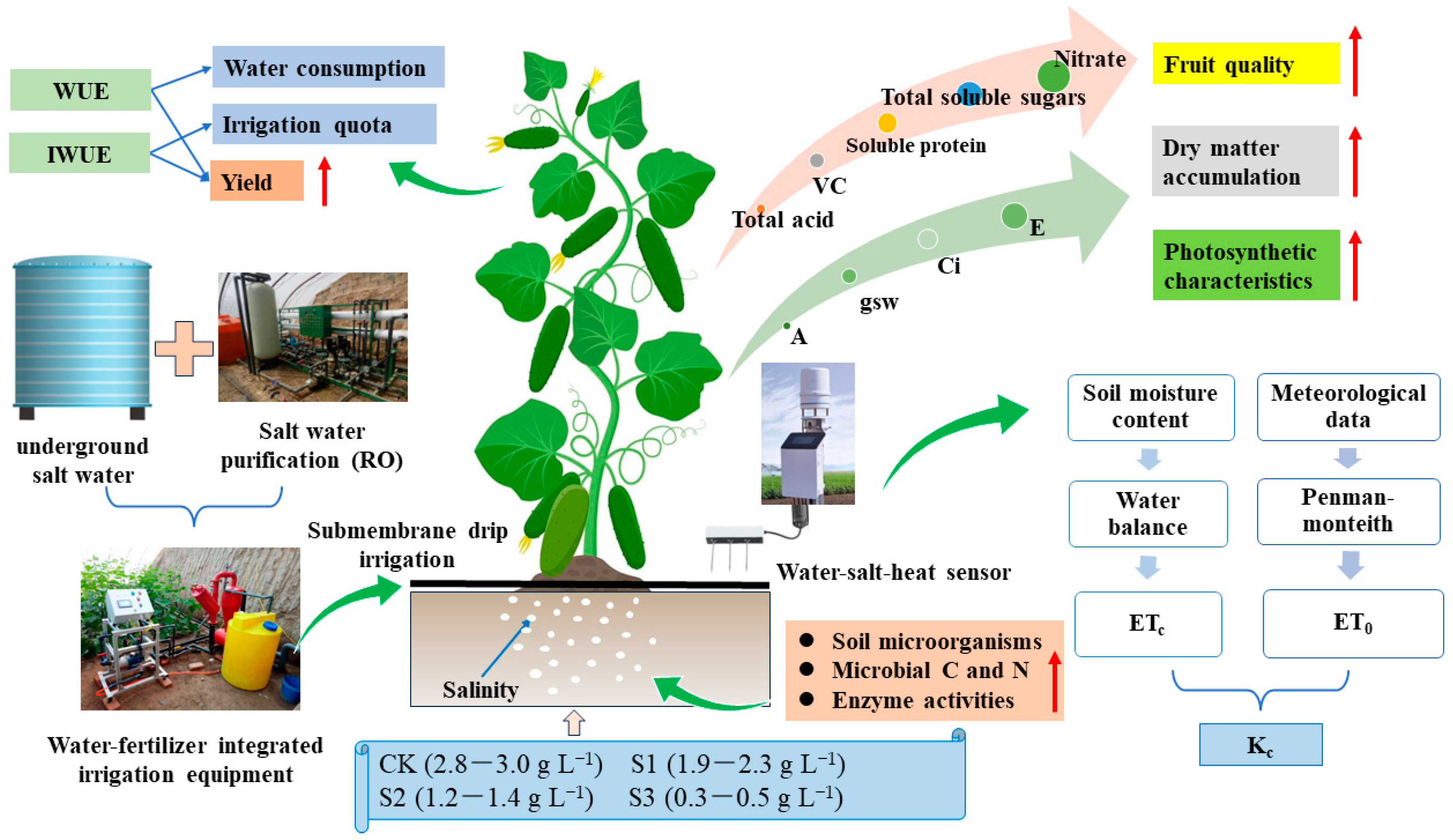 Horticulturae 10 00113 g002