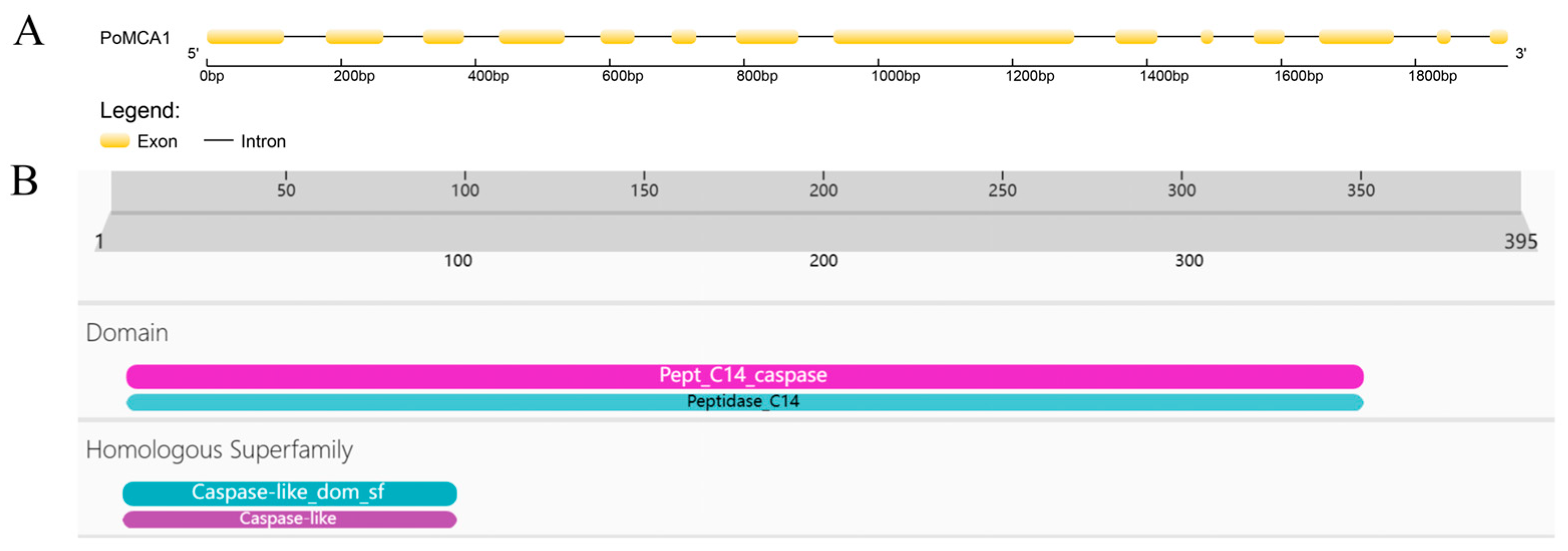 Horticulturae 10 00116 g001