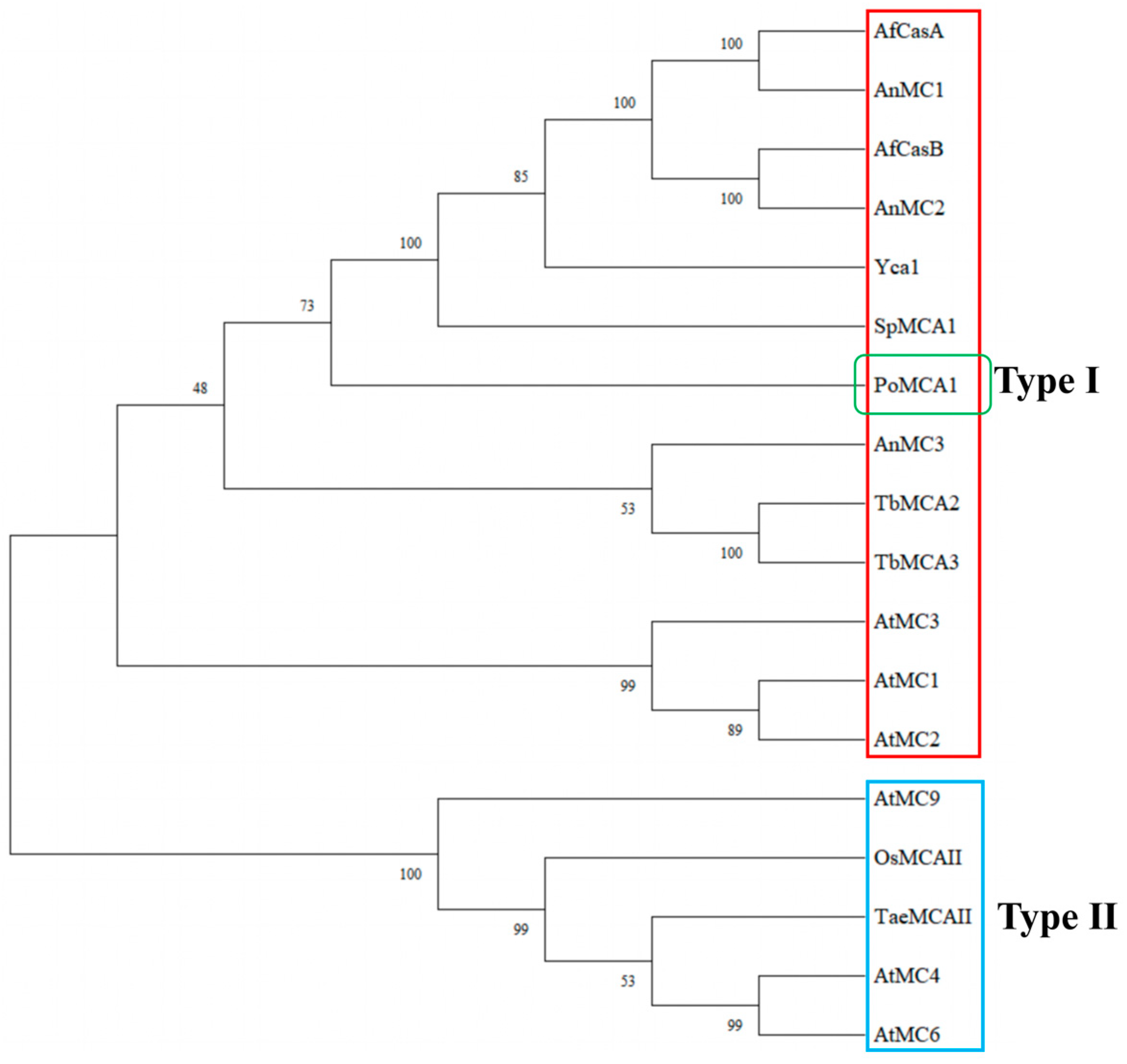 Horticulturae 10 00116 g002