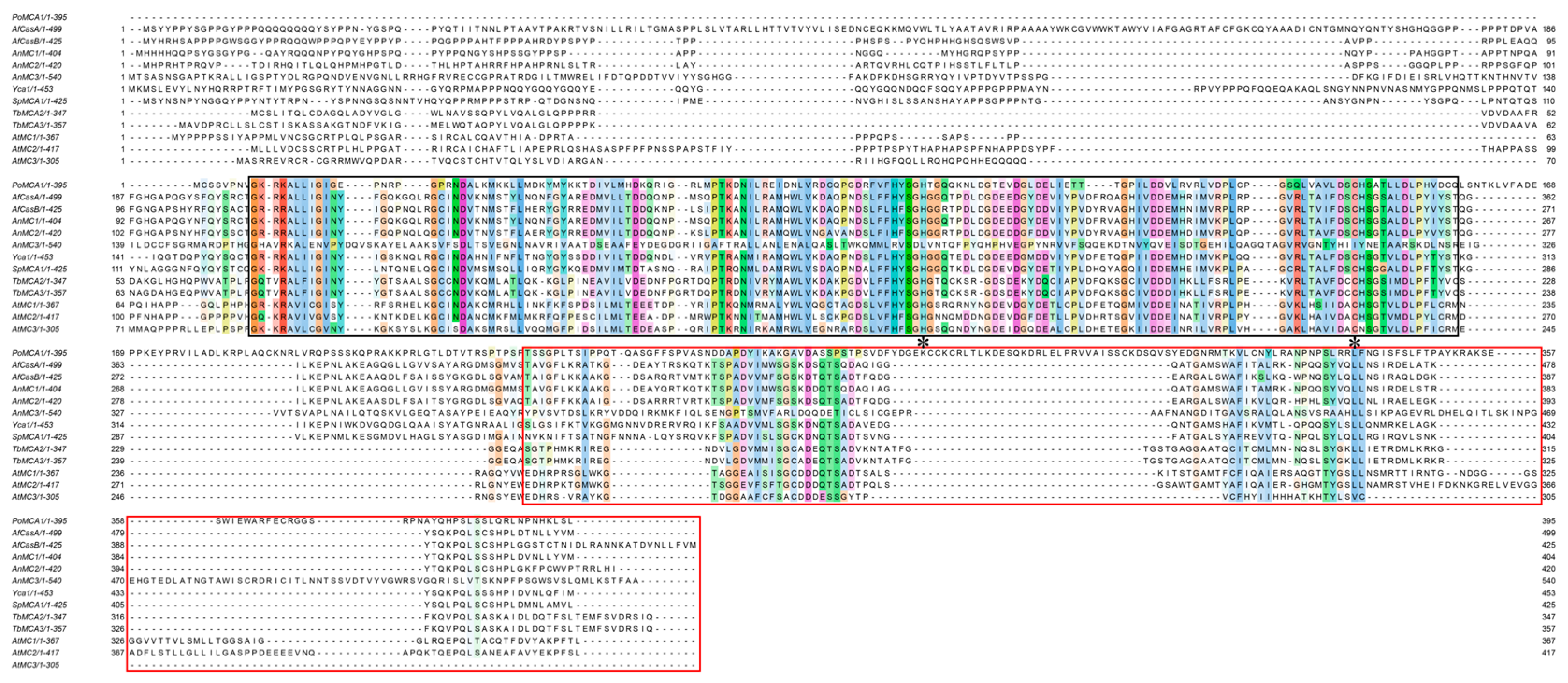 Horticulturae 10 00116 g003