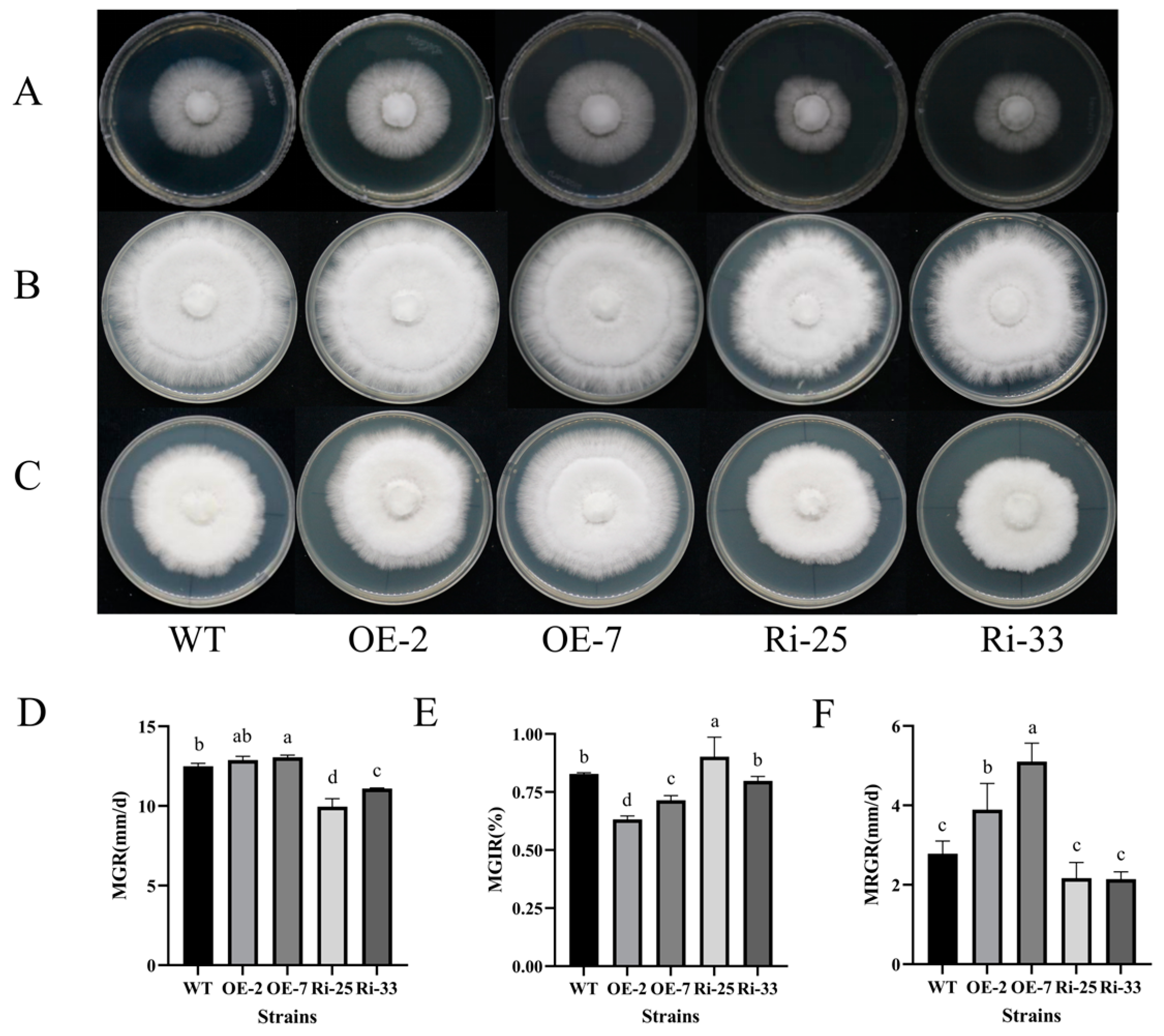 Horticulturae 10 00116 g005