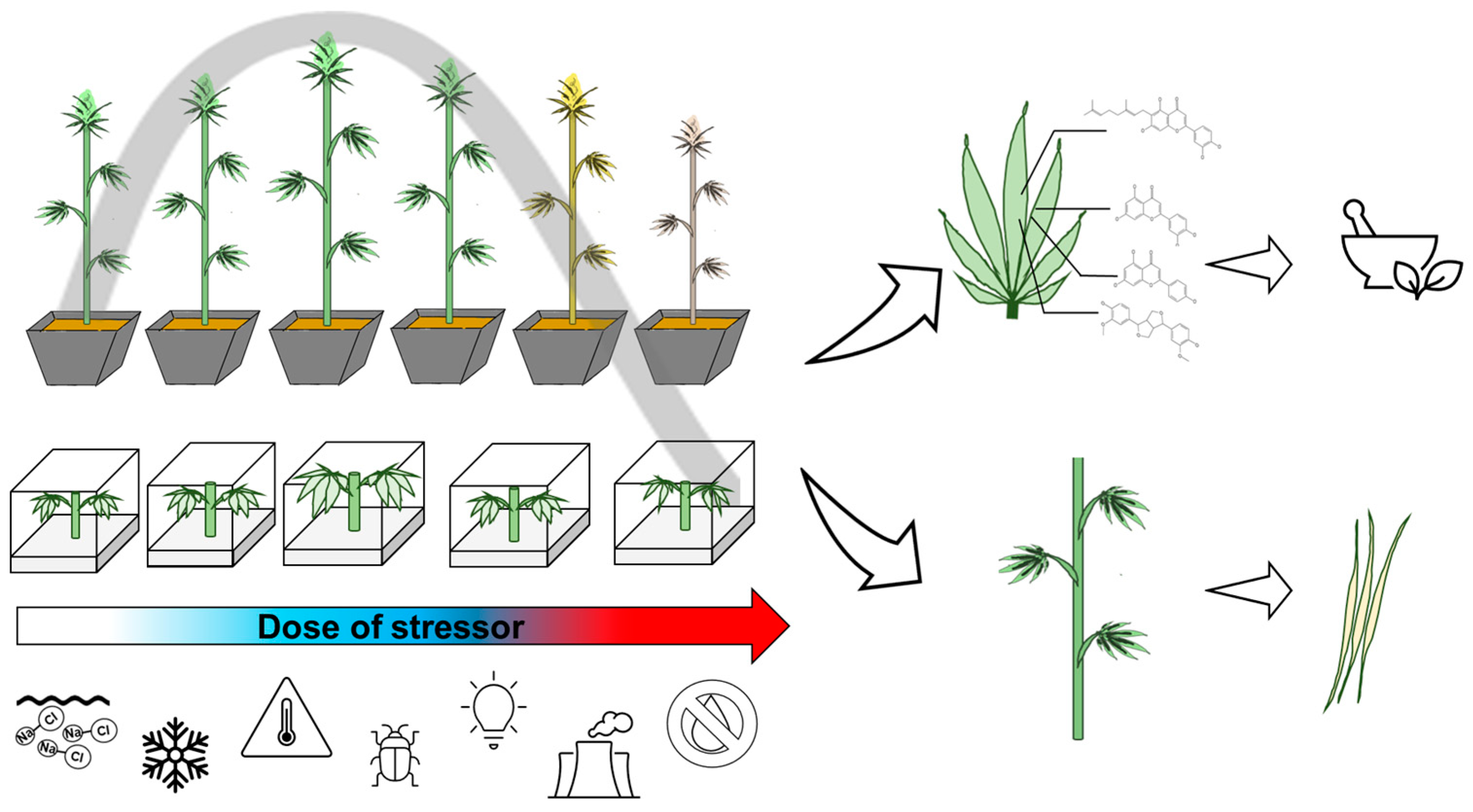 Horticulturae 10 00127 g003