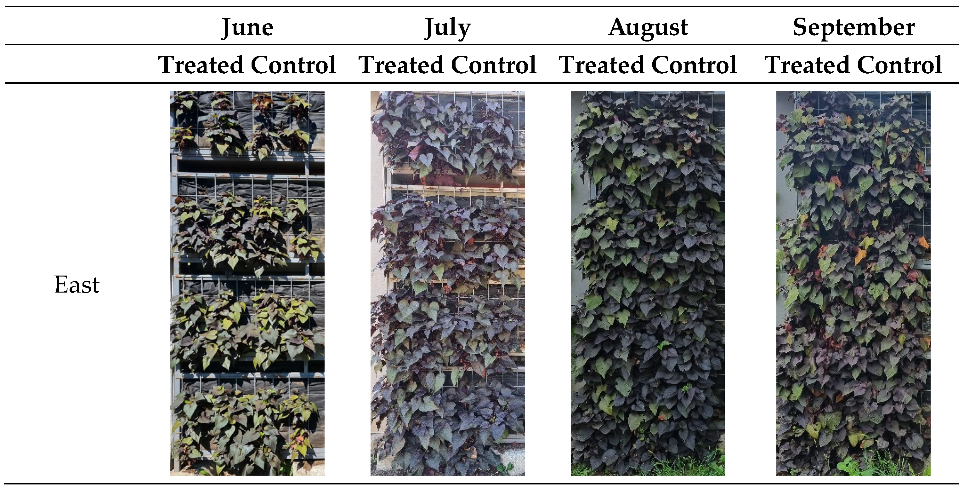 Horticulturae 10 00133 g010 Horticulturae 10 00133 g010