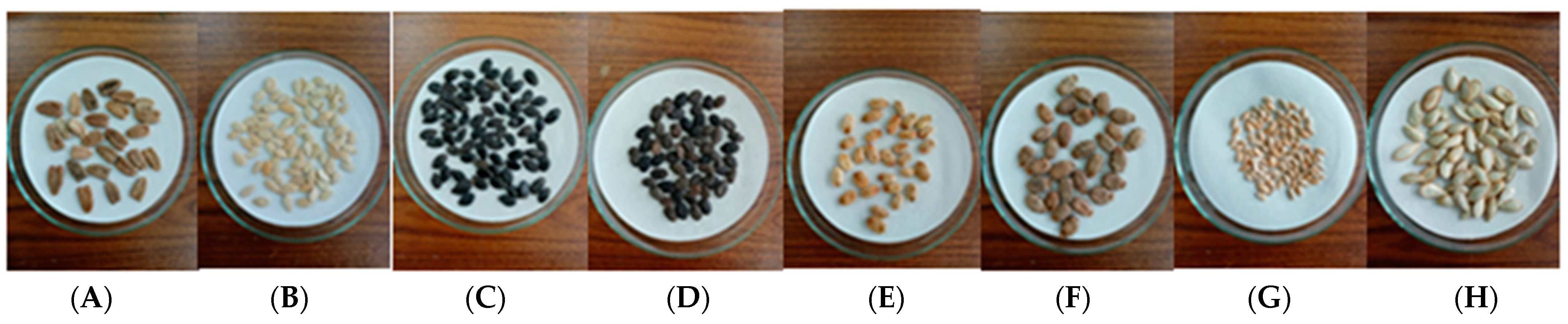 Horticulturae 10 00135 g001