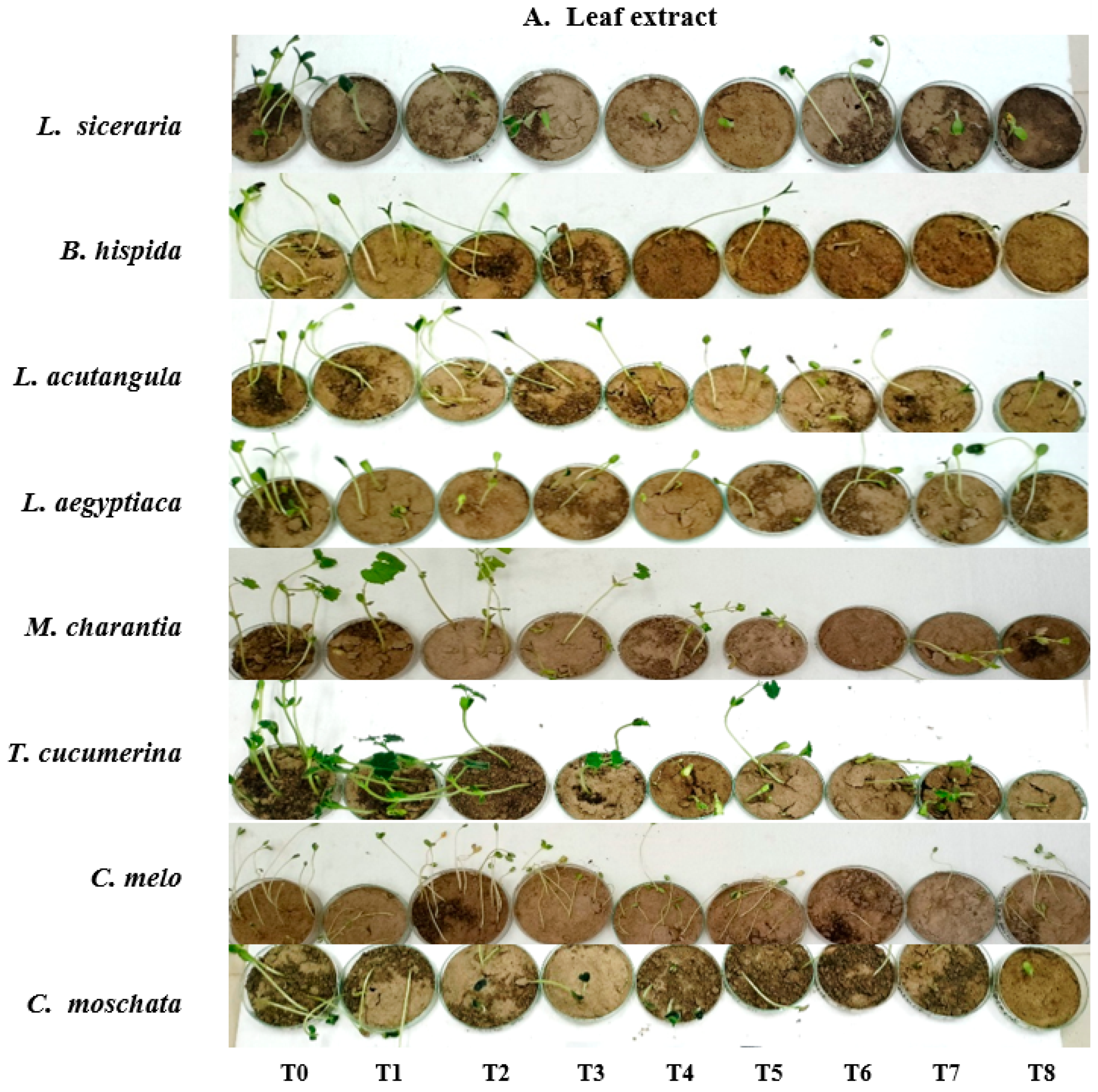 Horticulturae 10 00135 g003a