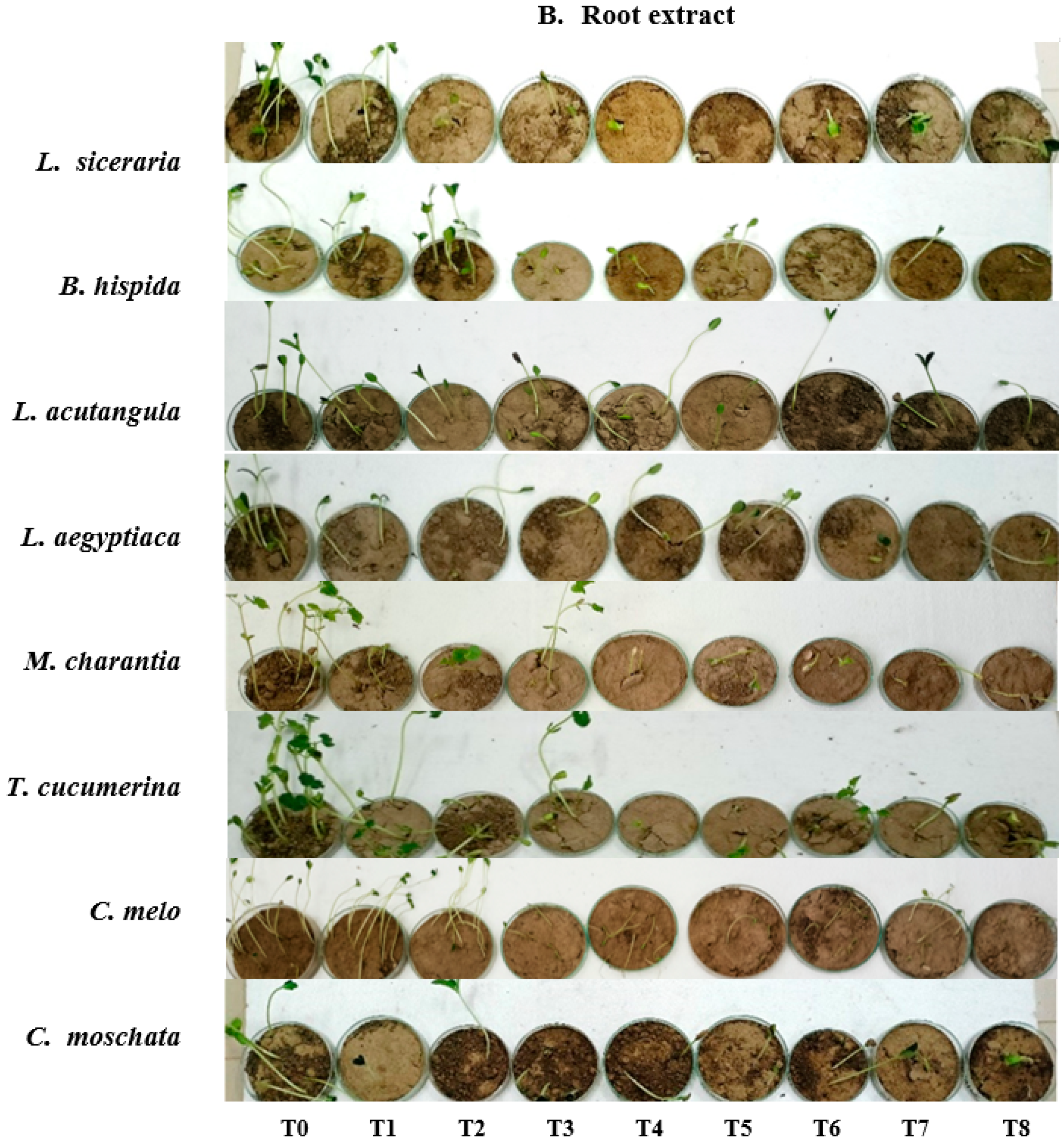 Horticulturae 10 00135 g003b