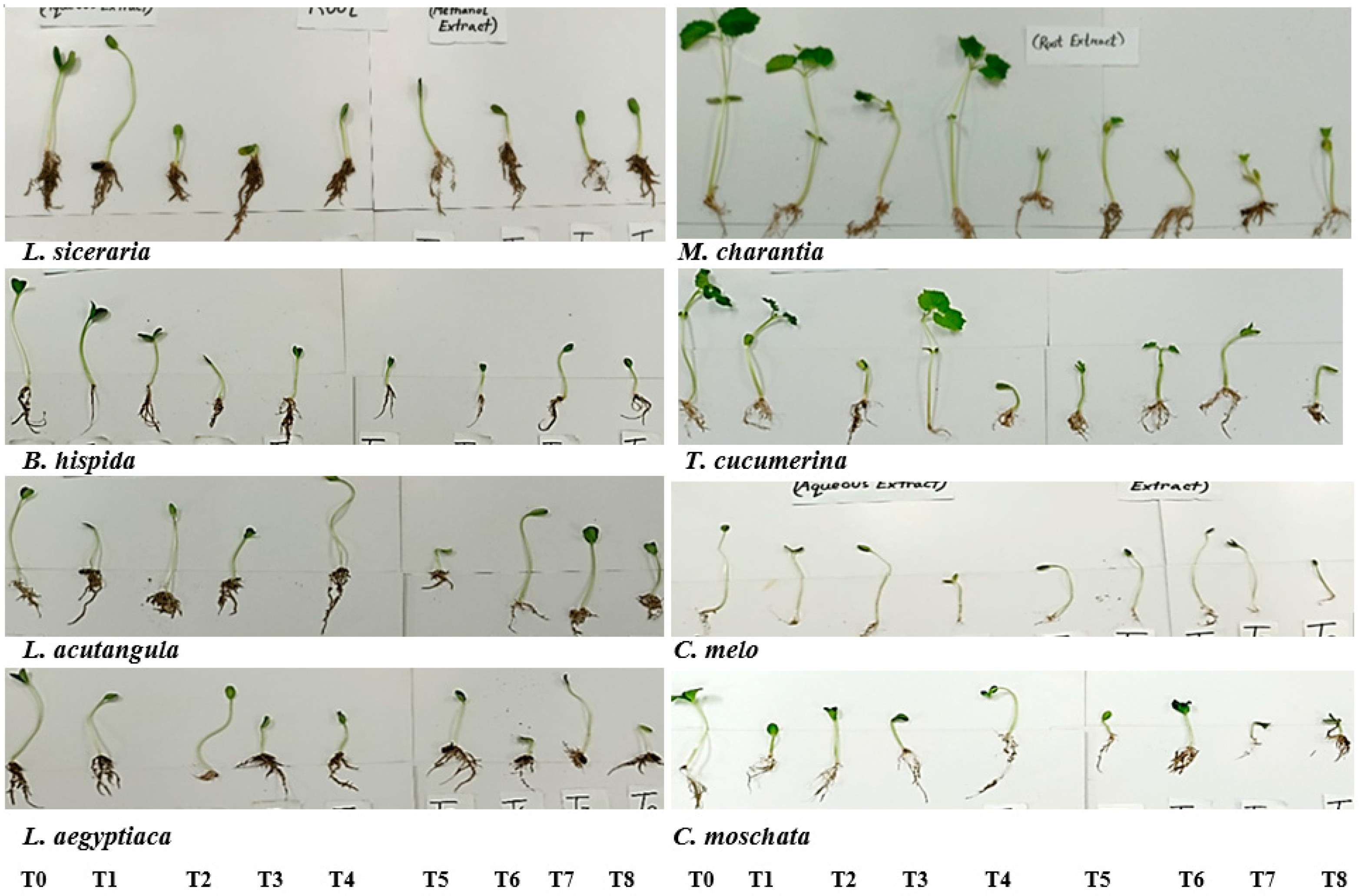 Horticulturae 10 00135 g005