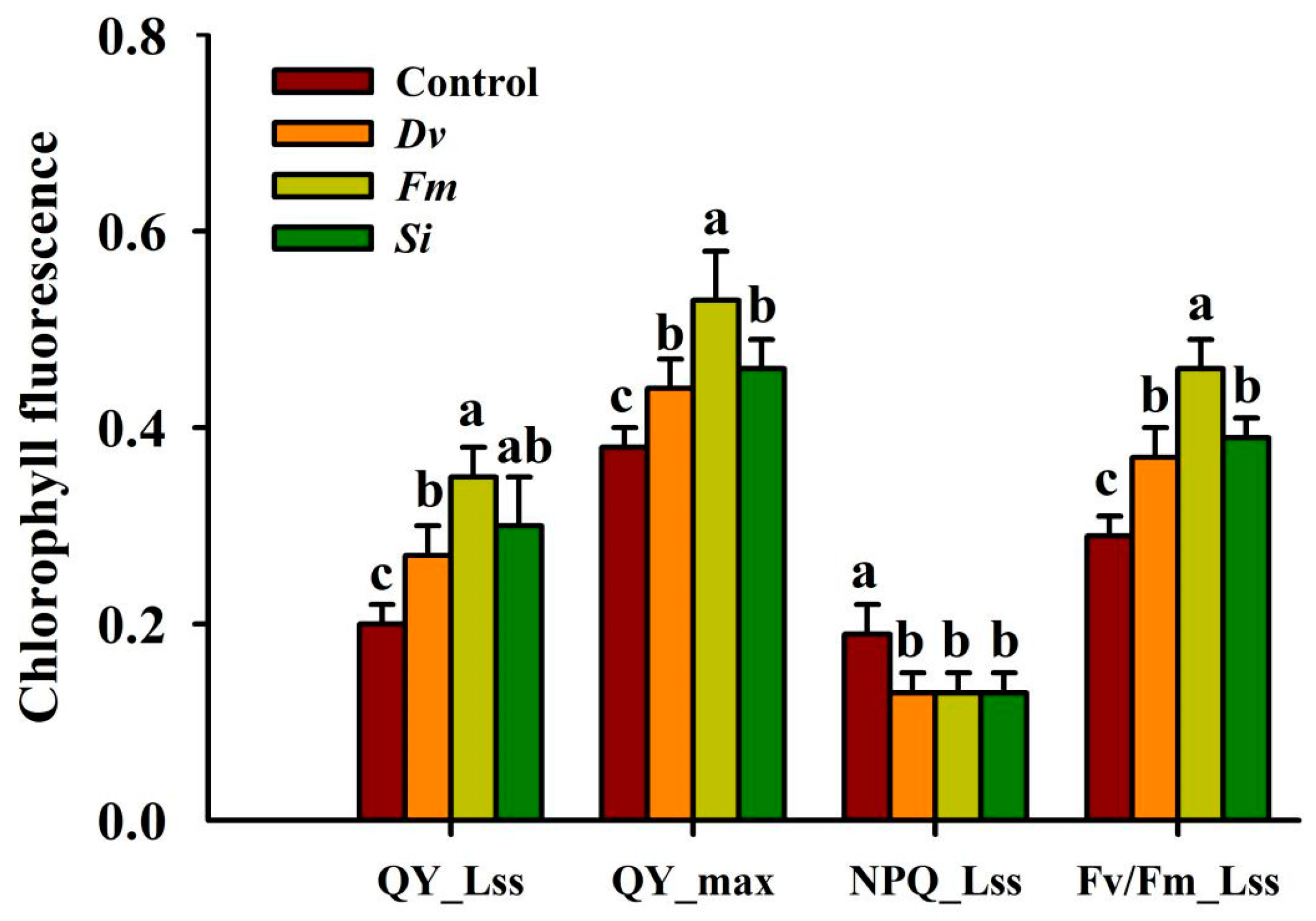 Horticulturae 10 00145 g004