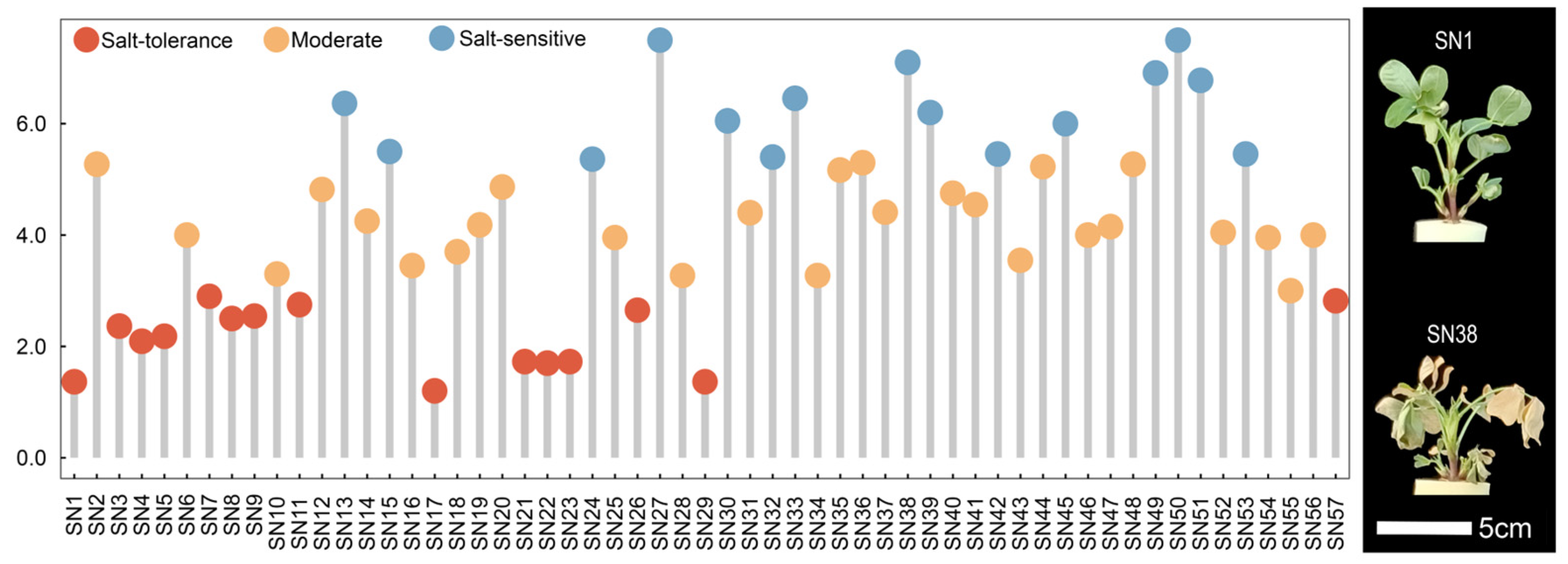 Horticulturae 10 00147 g004