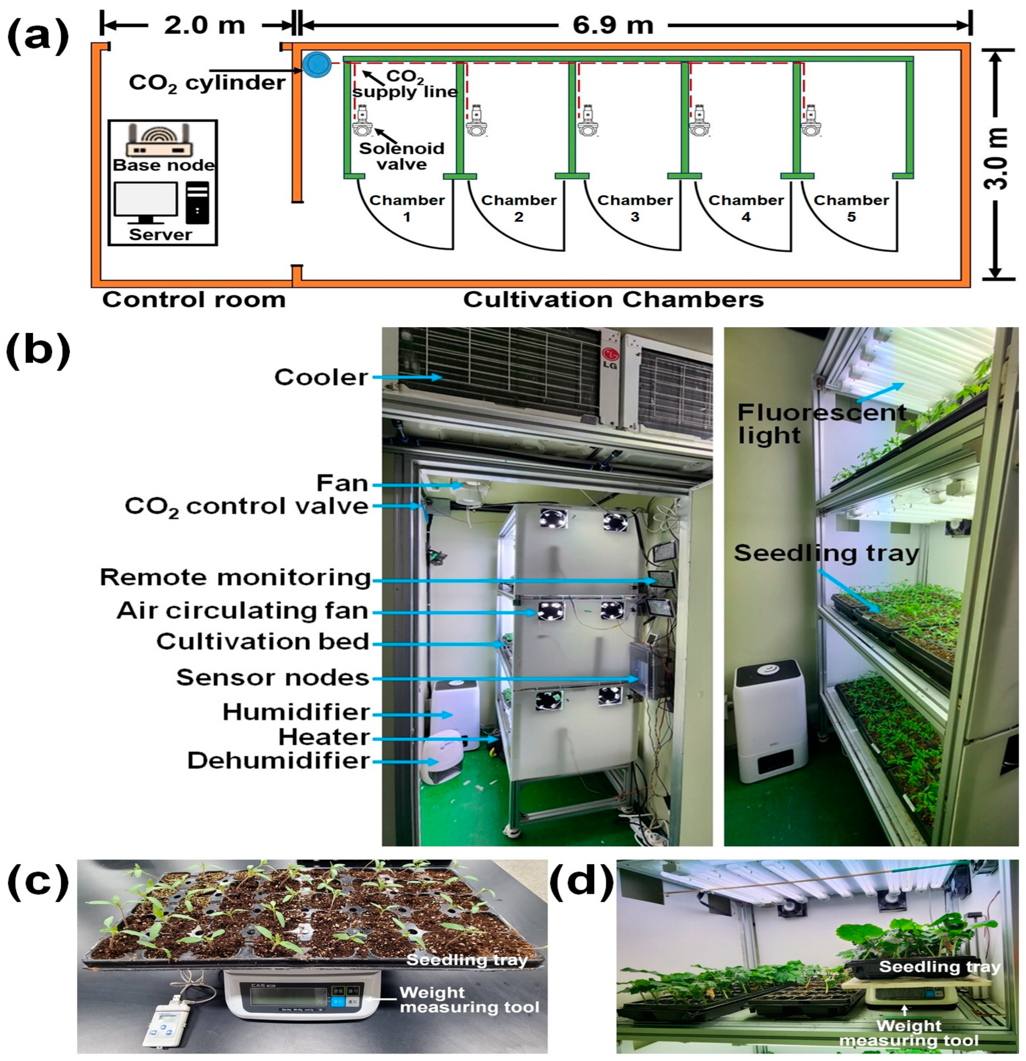 Horticulturae 10 00186 g001
