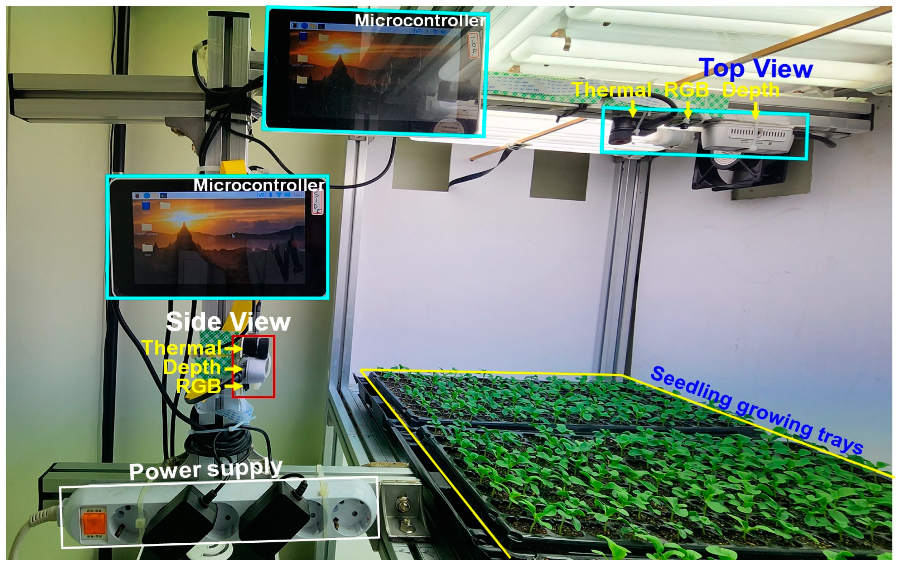 Horticulturae 10 00186 g002