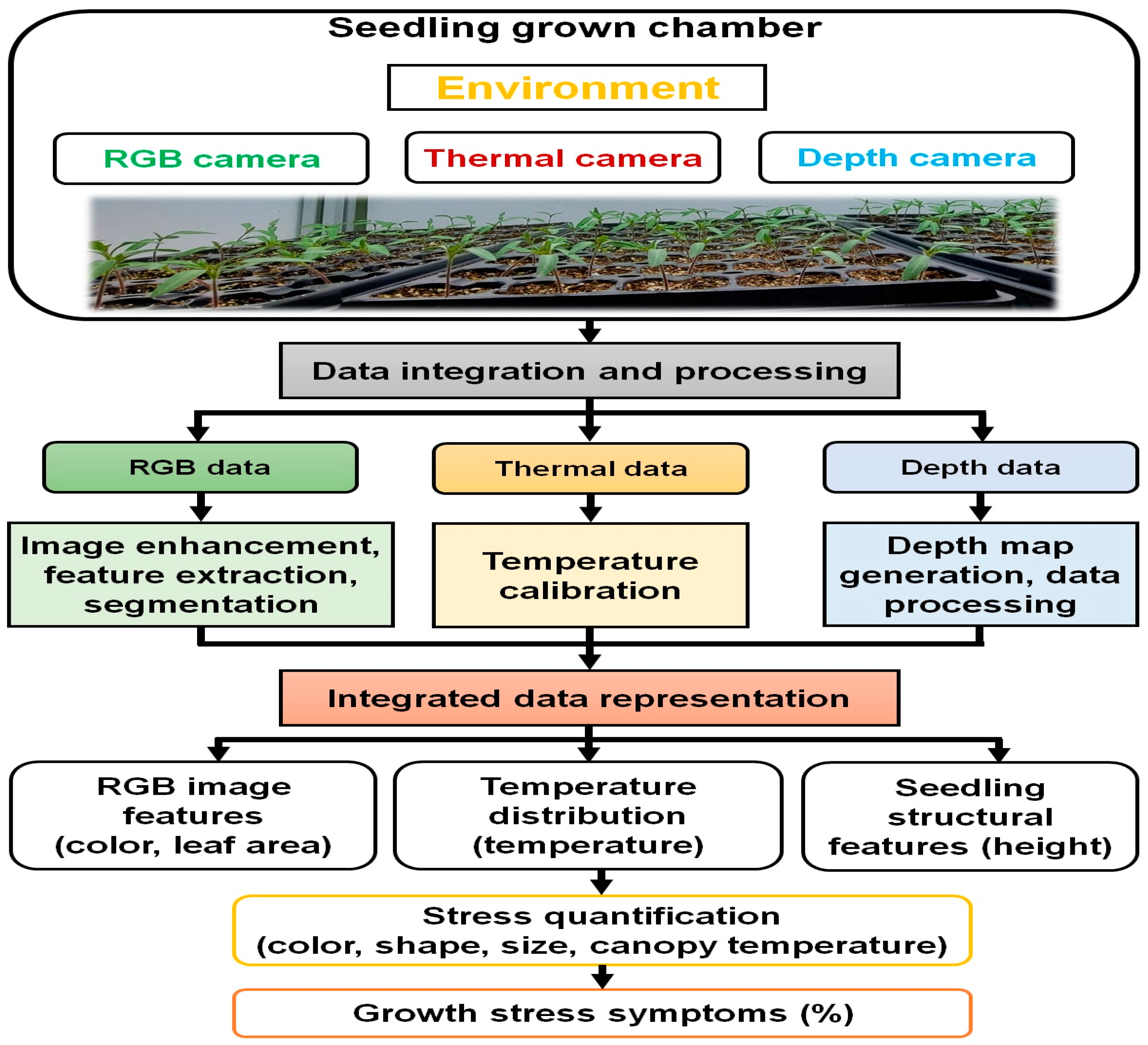 Horticulturae 10 00186 g004