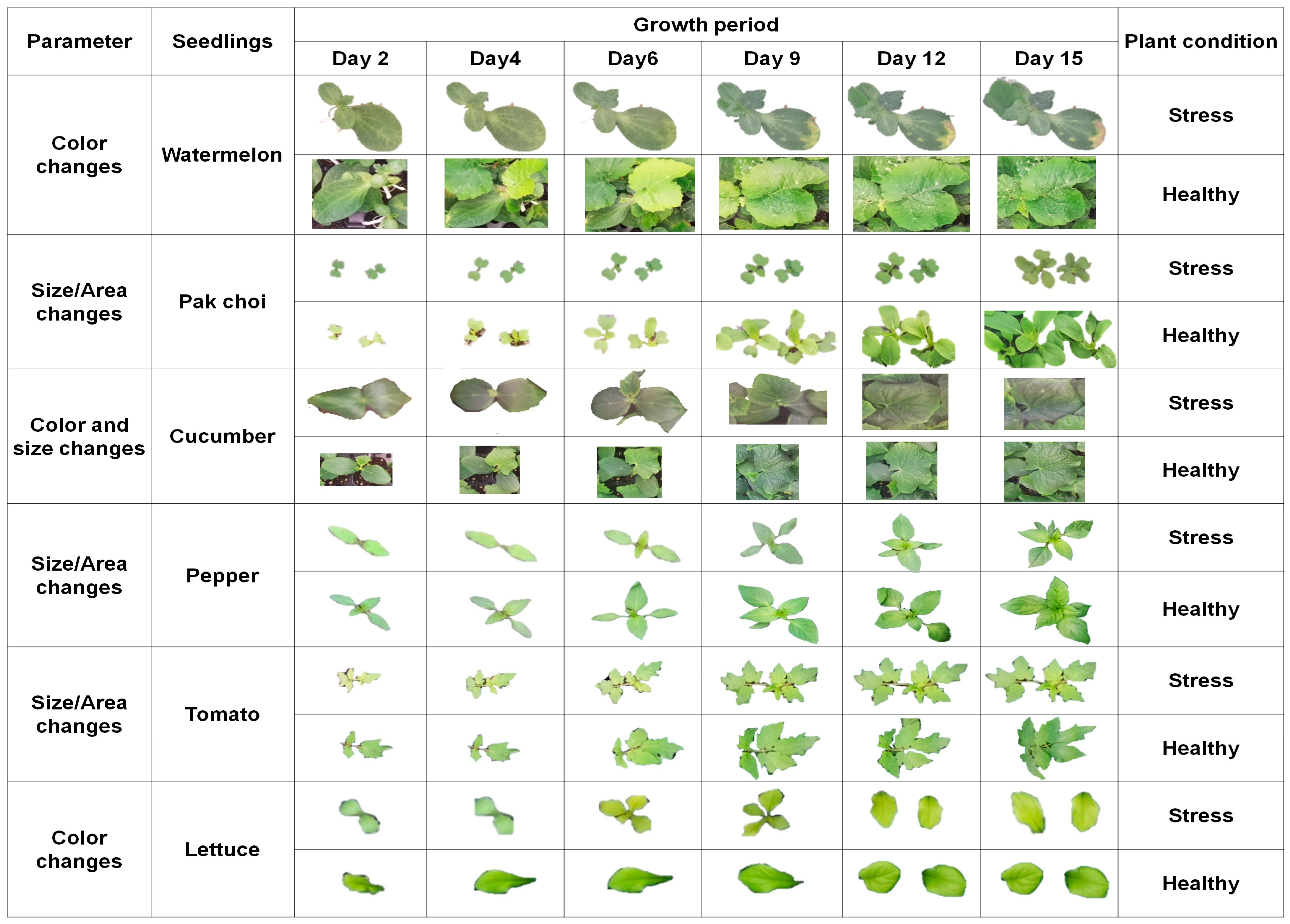 Horticulturae 10 00186 g011