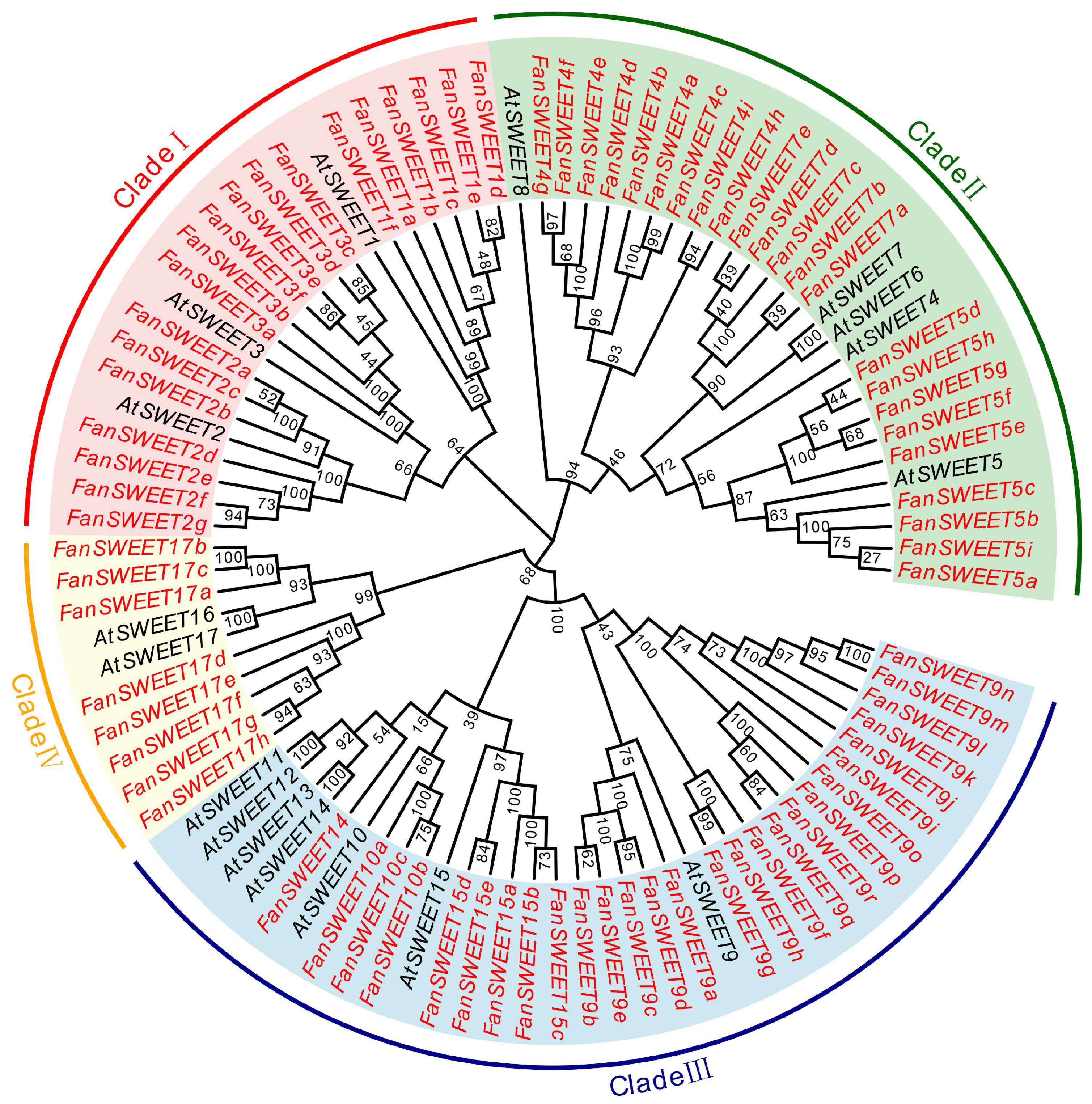 Horticulturae 10 00191 g001