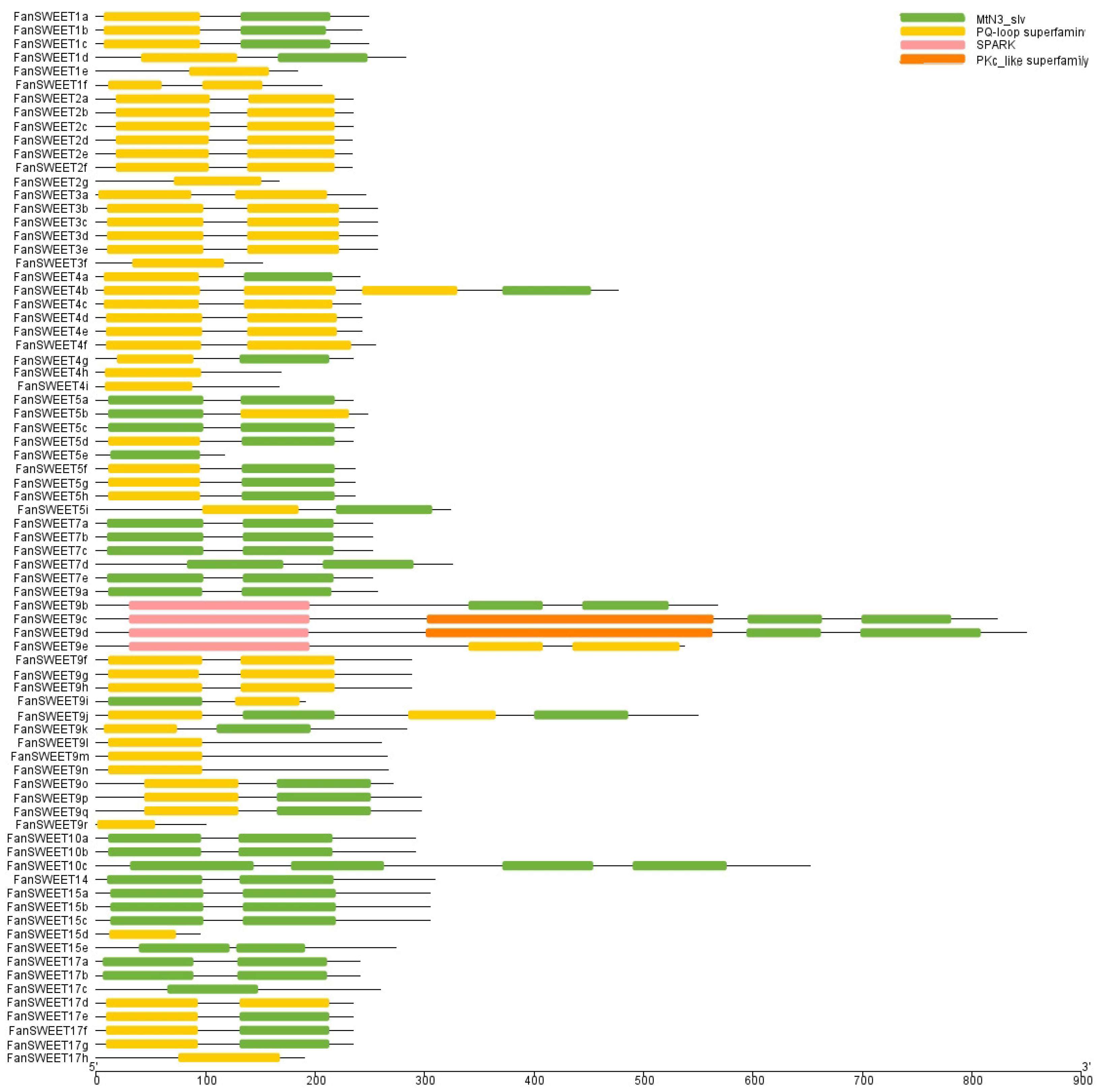 Horticulturae 10 00191 g003