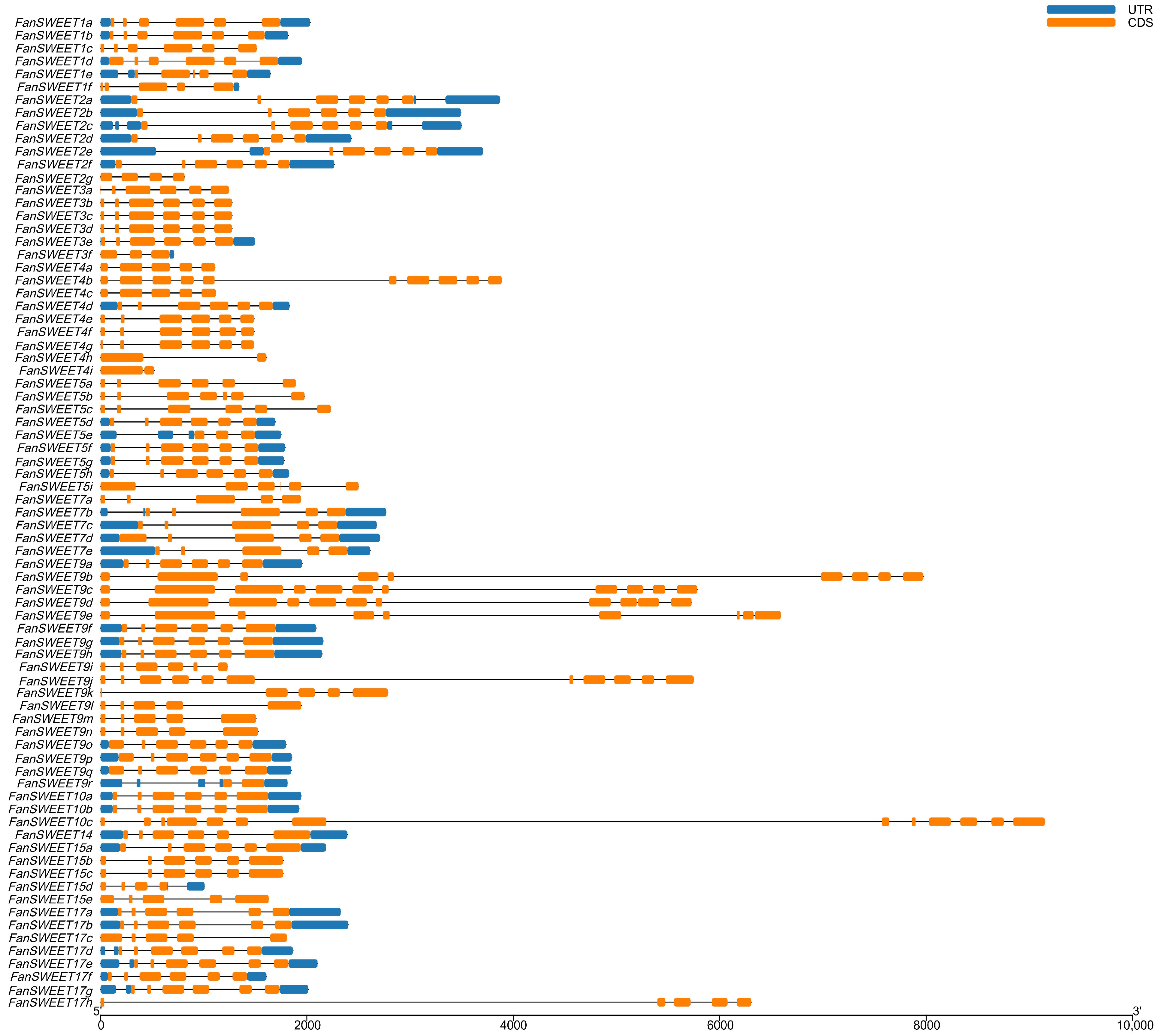 Horticulturae 10 00191 g006