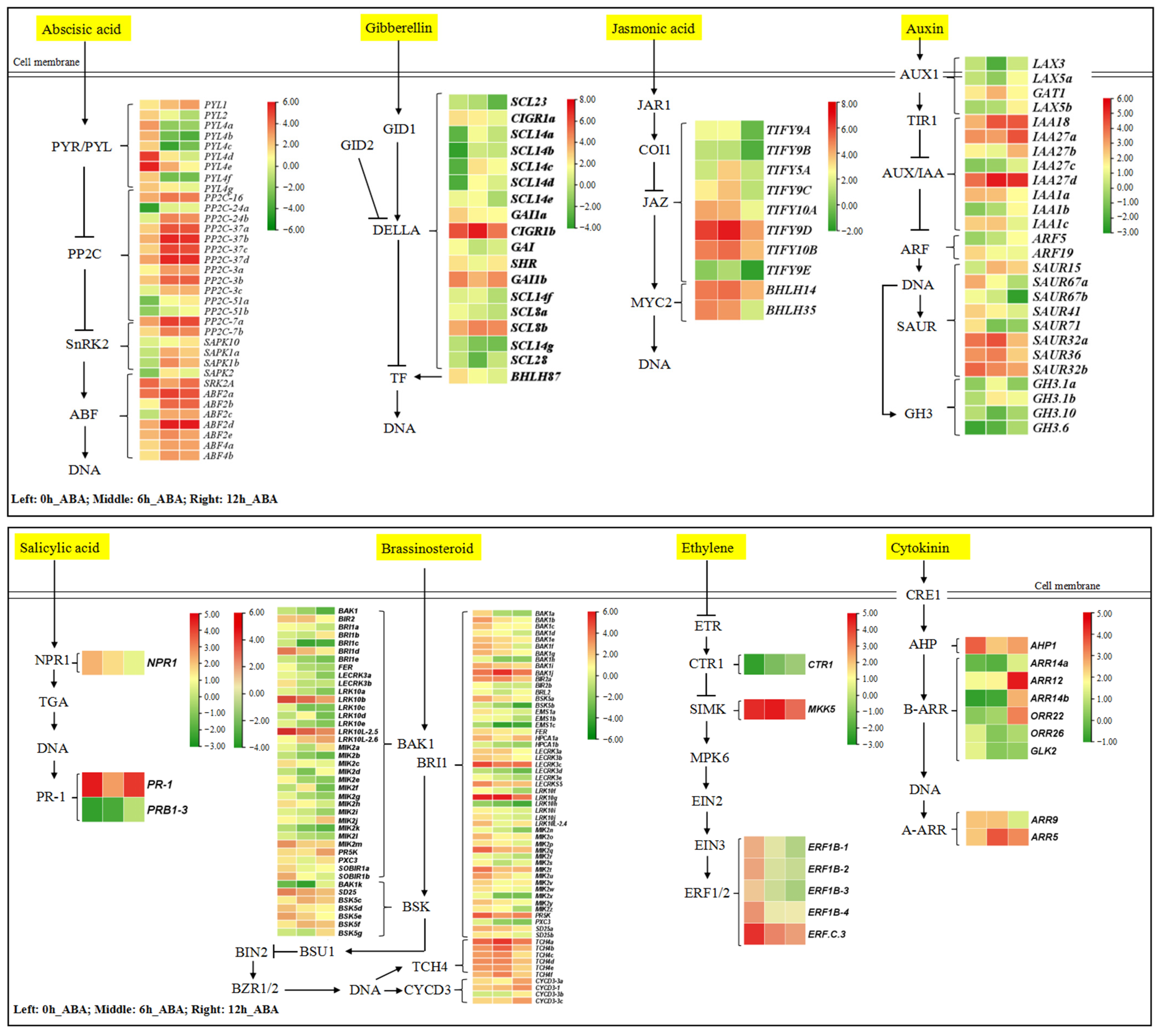 Horticulturae 10 00192 g004
