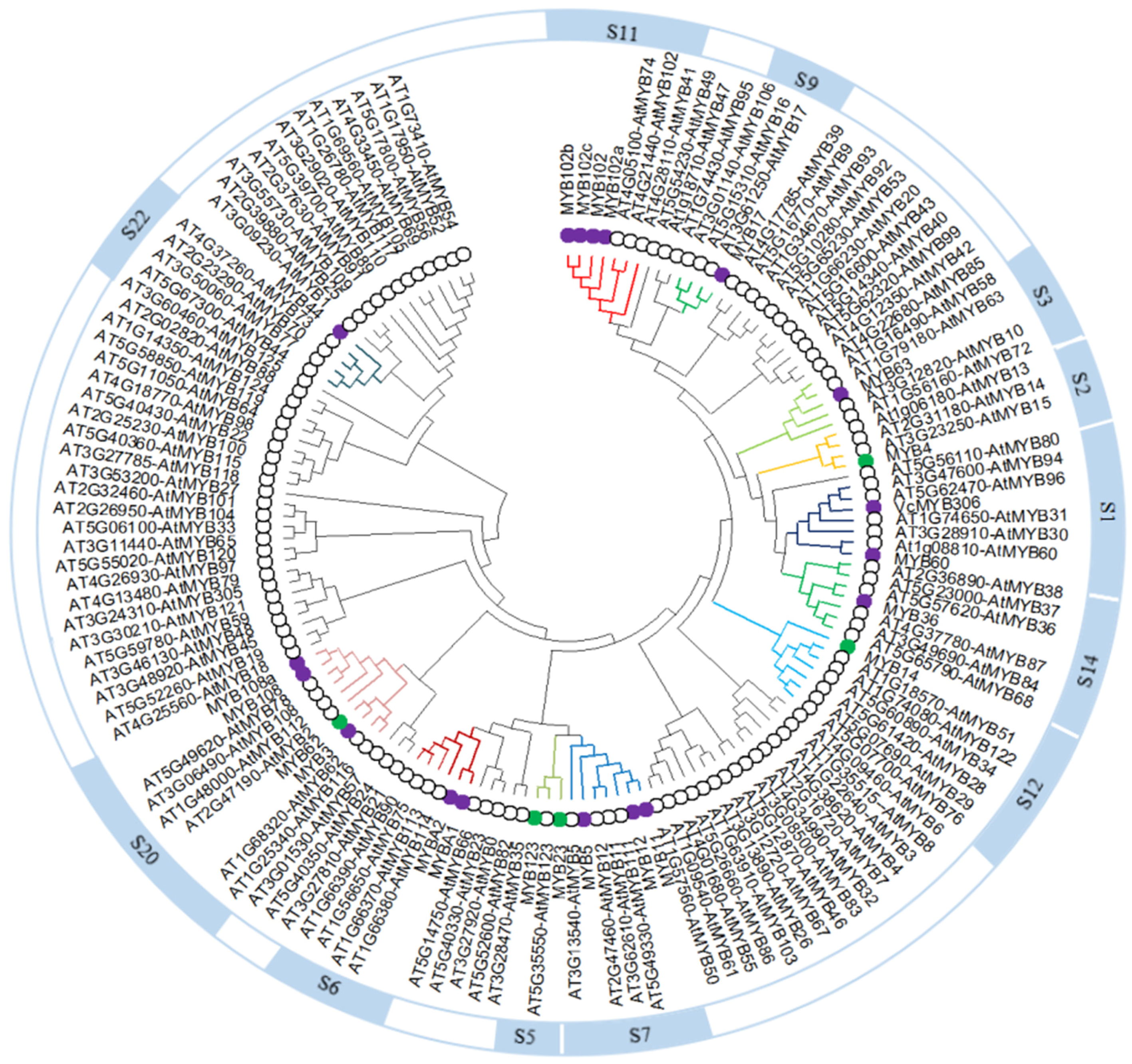 Horticulturae 10 00192 g005