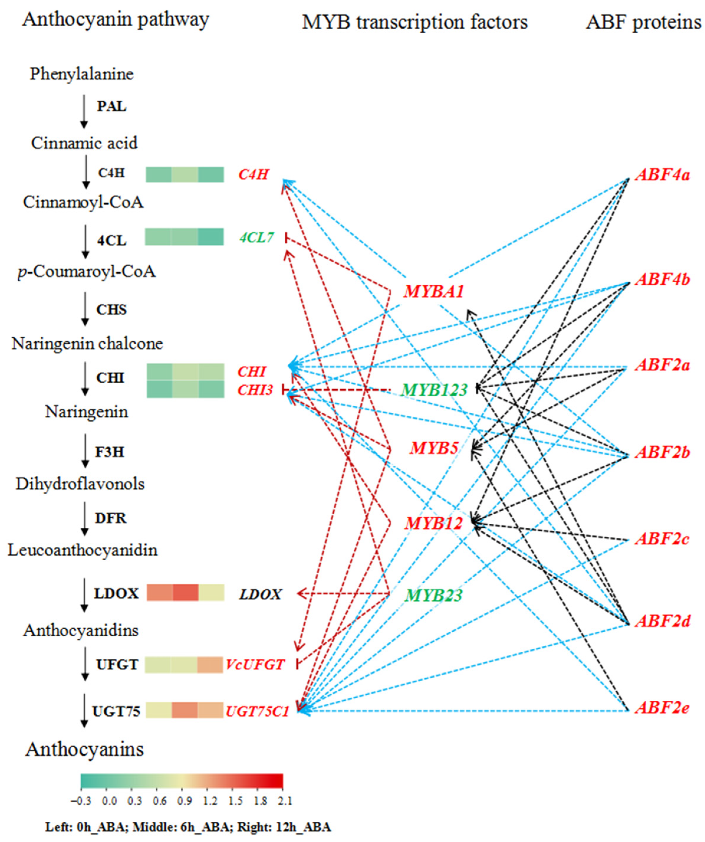 Horticulturae 10 00192 g006